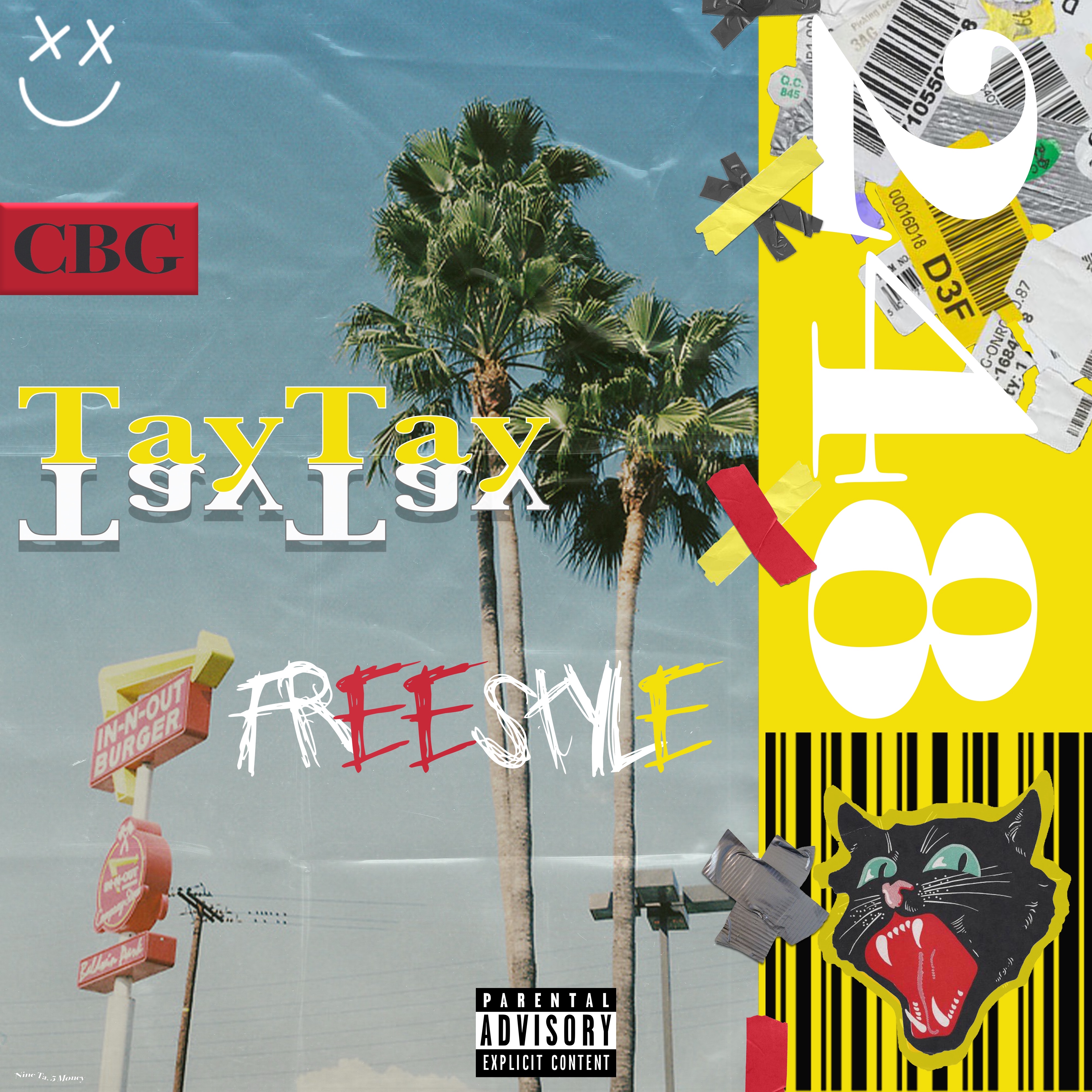 248 FreeStyle artwork