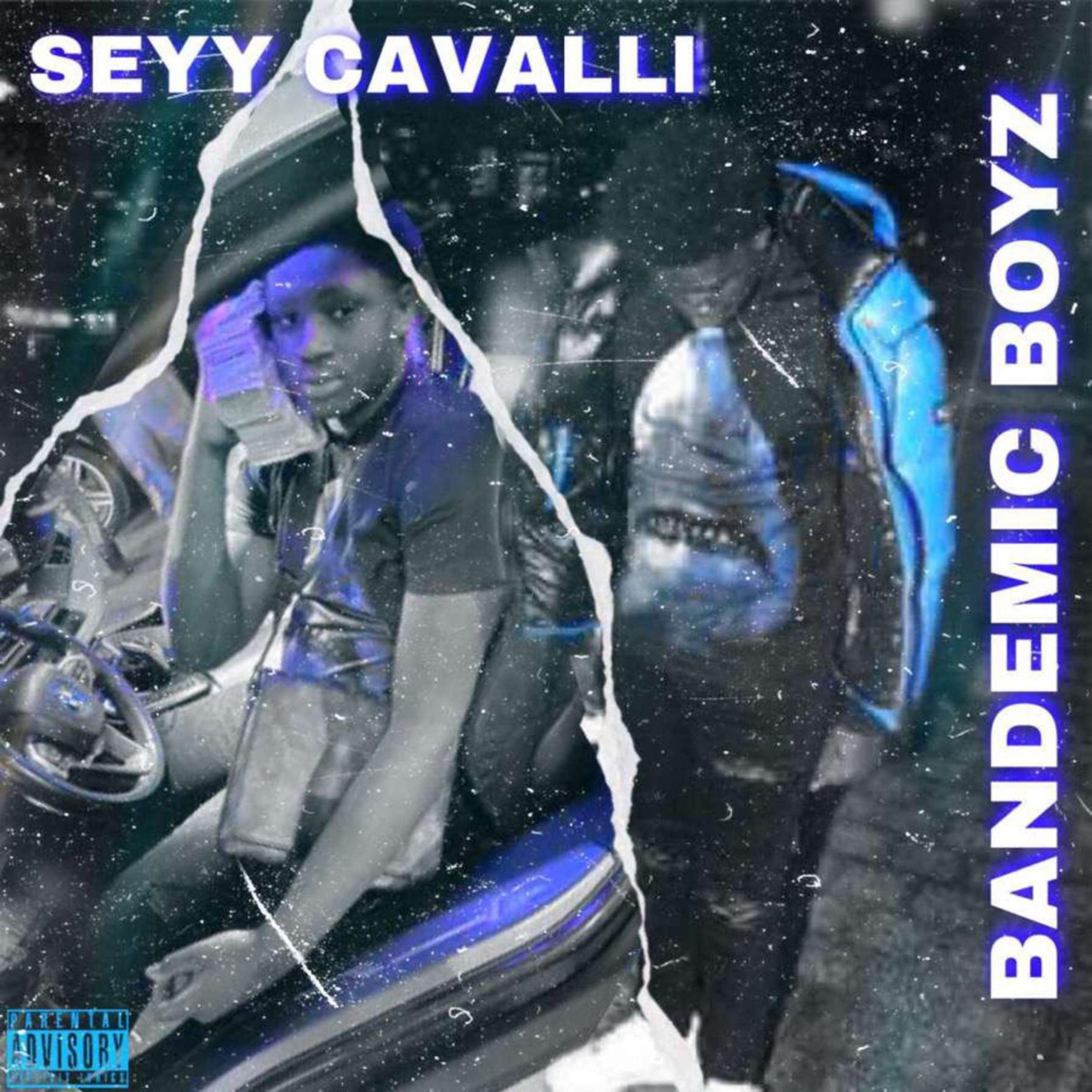 BANDEMIC BOYZ artwork