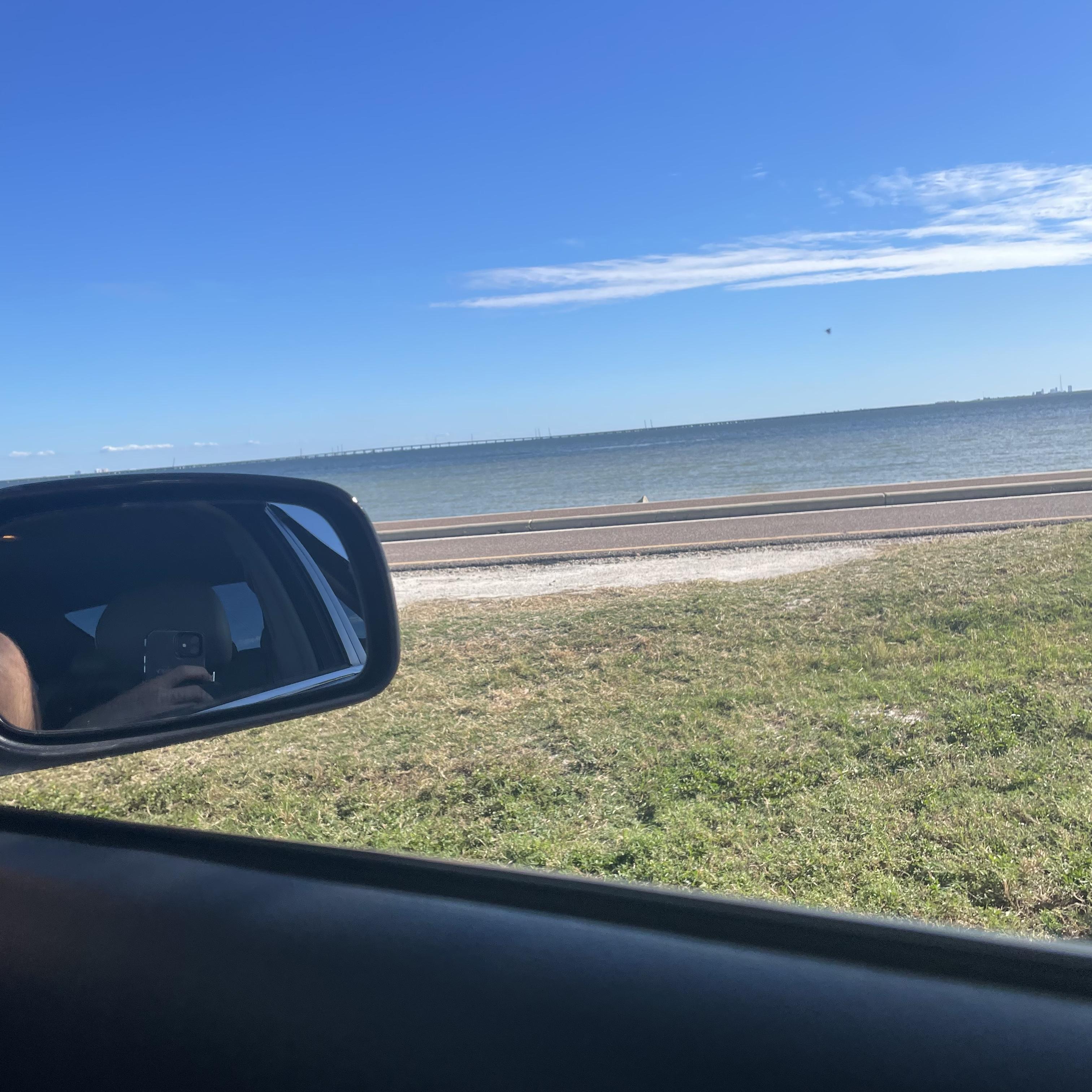 Phillies Flakoo artwork