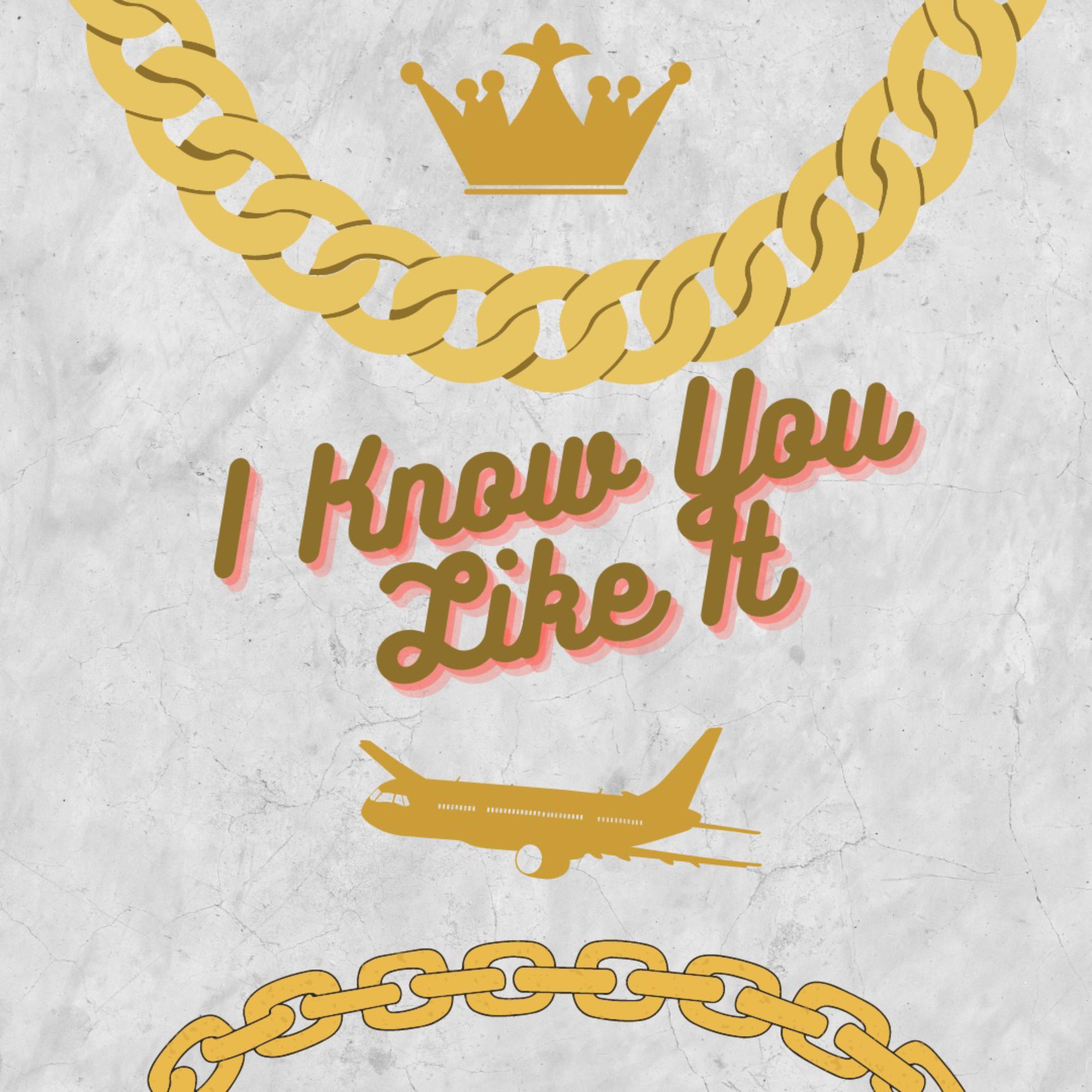 I Know You Like It artwork