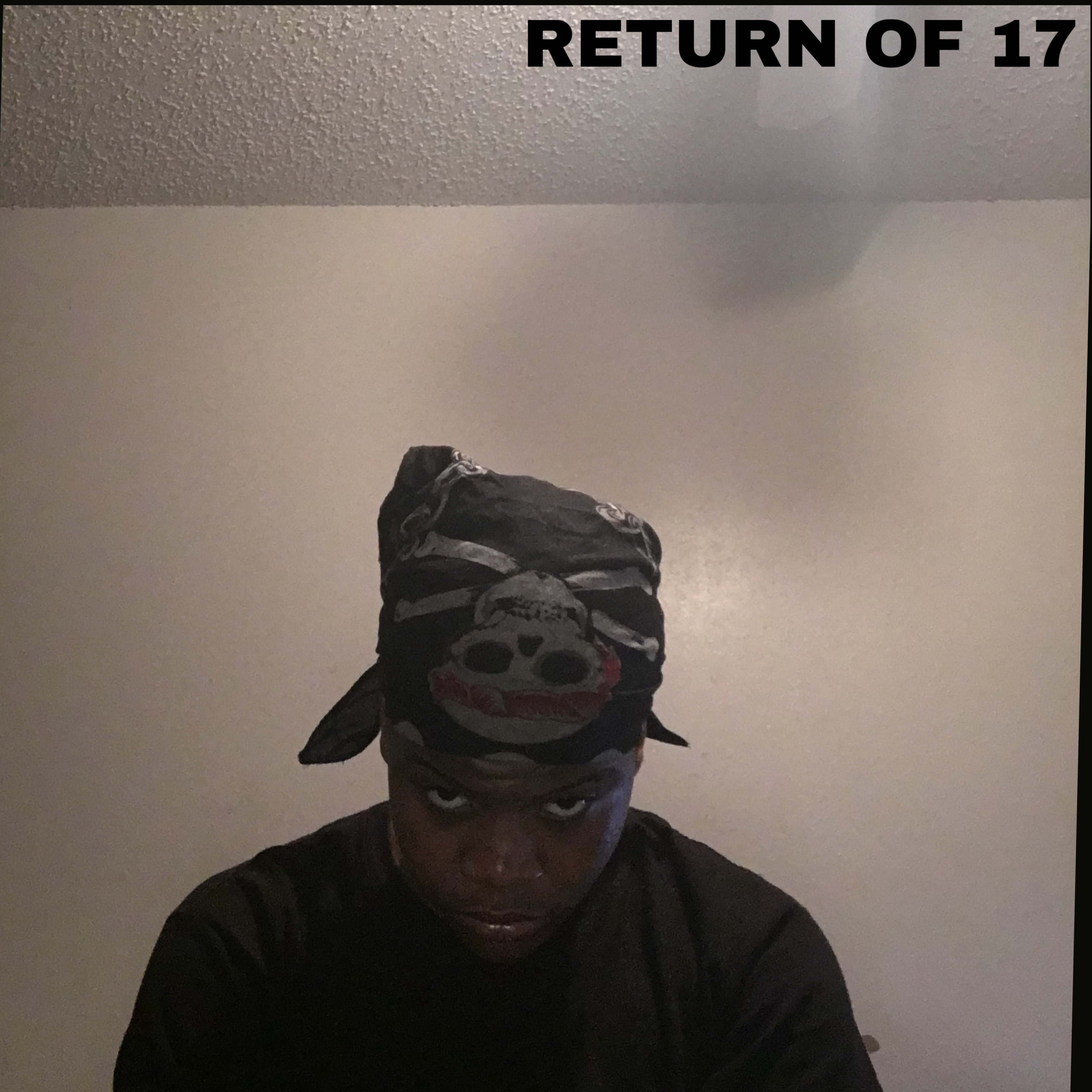RETURN OF 17 artwork
