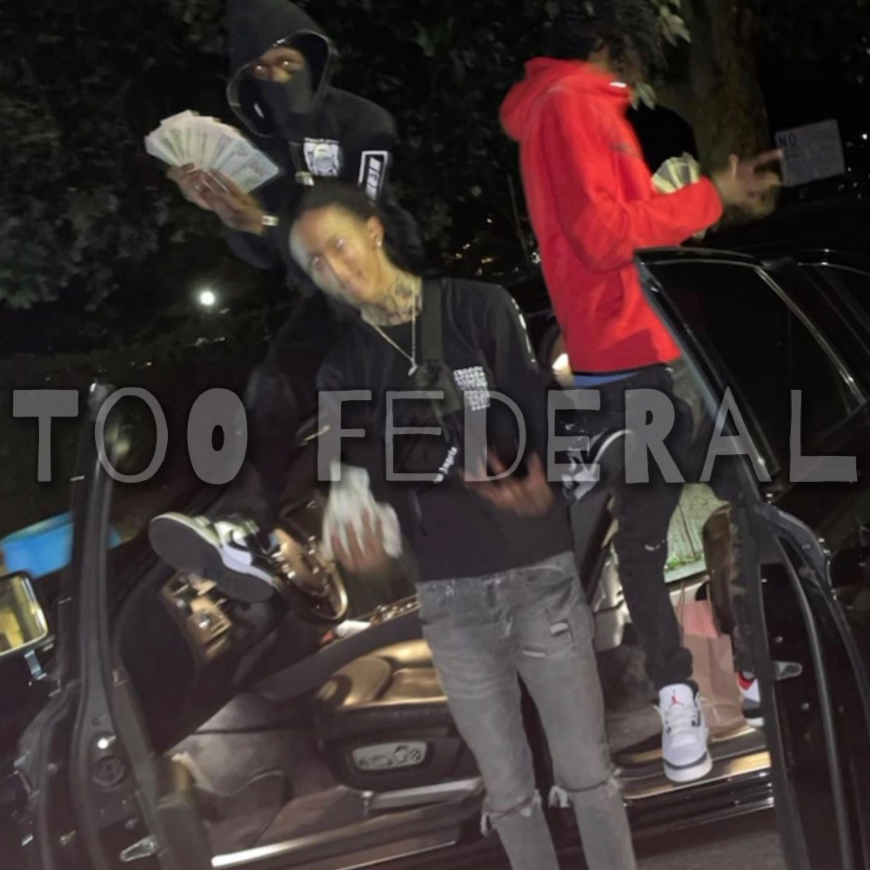 Too Federal artwork