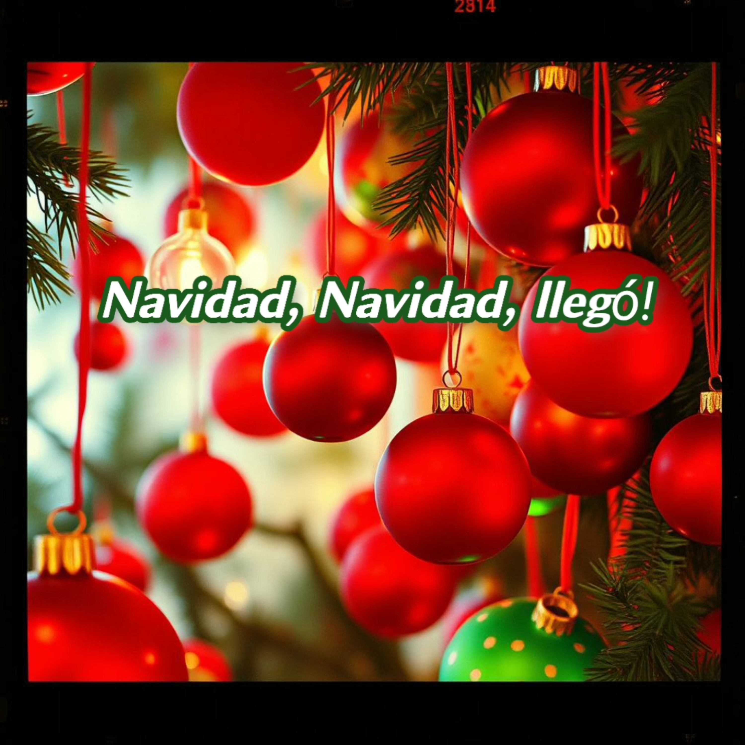 Navidad, Navidad, Llegó! artwork