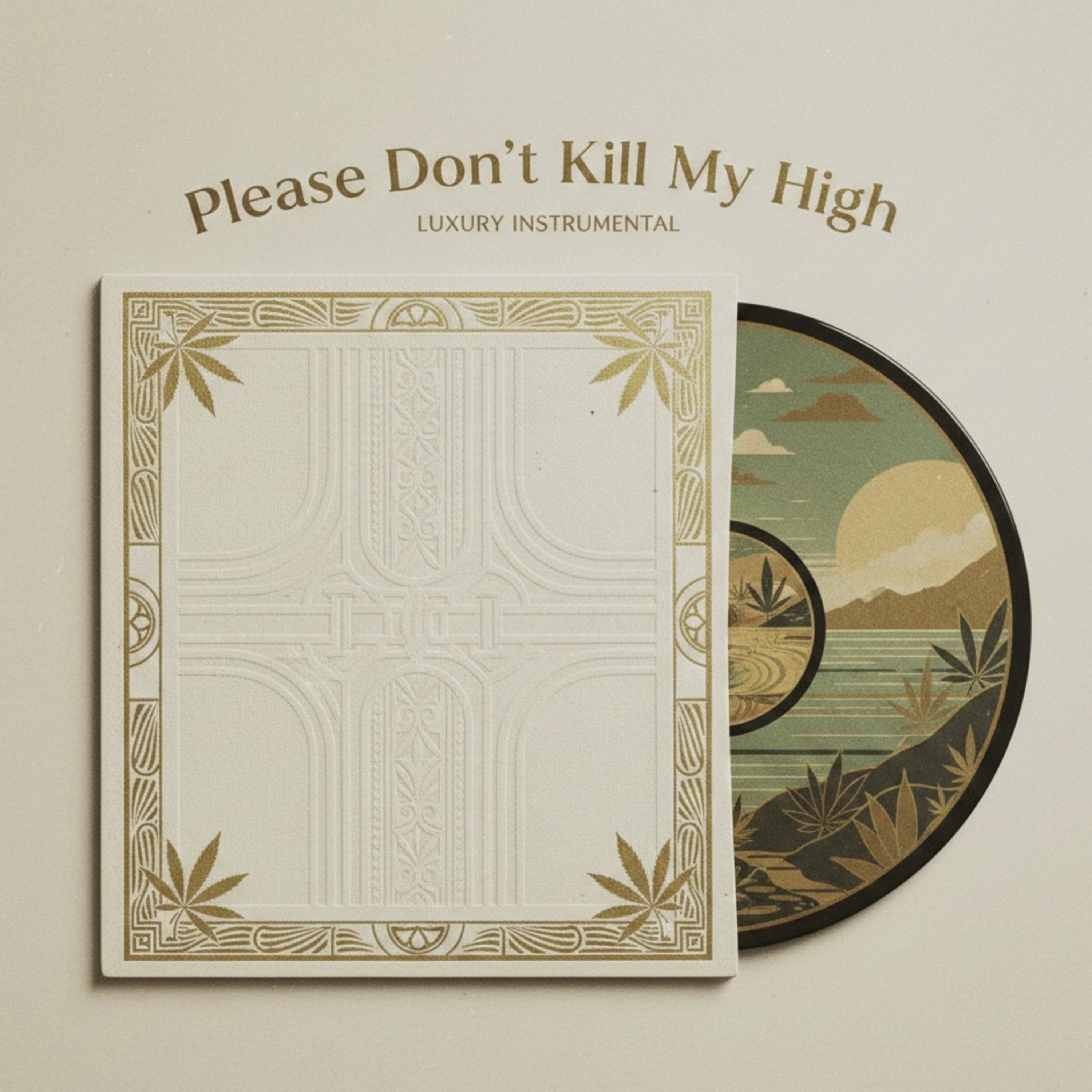 Please Don’t Kill My High artwork