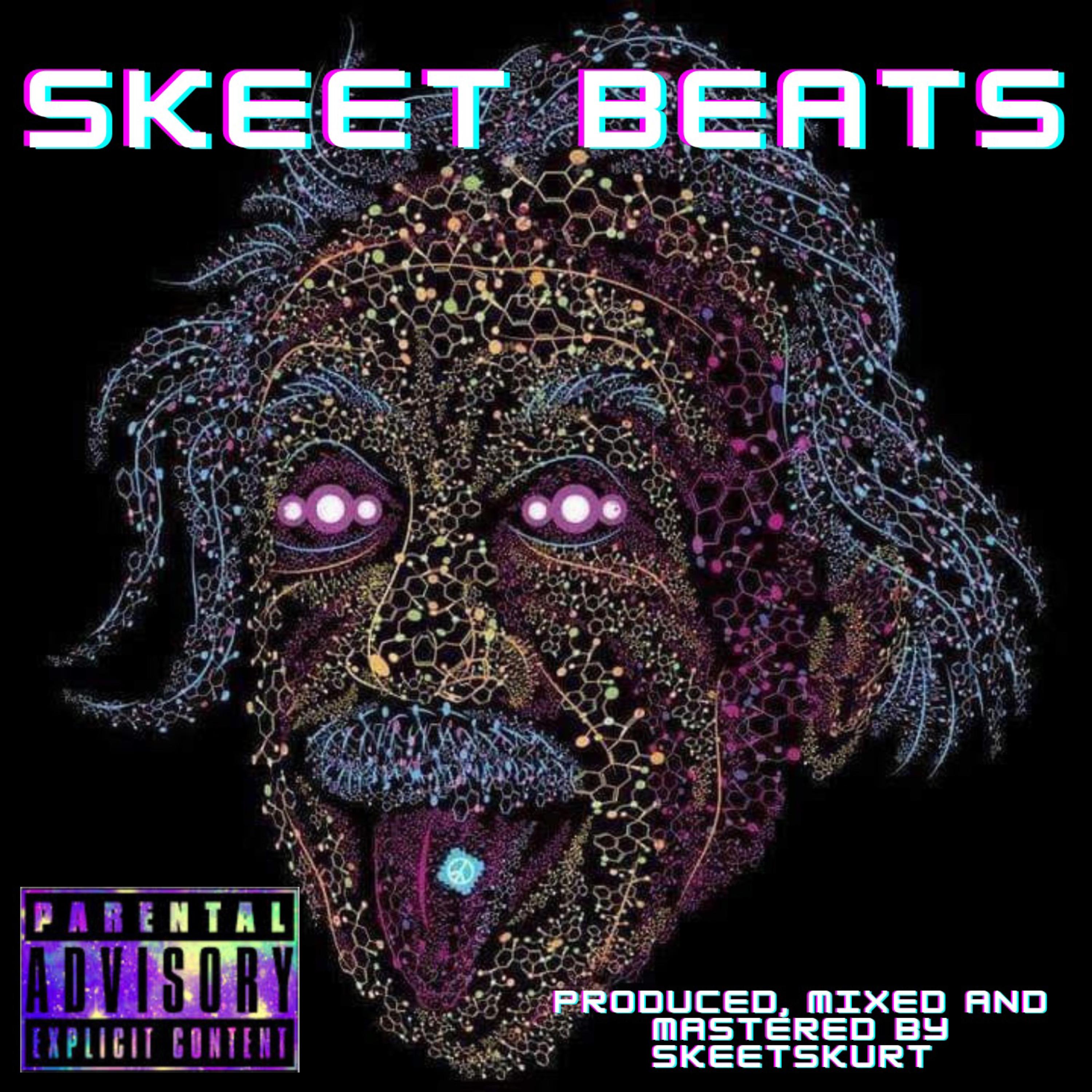 SKEET BEATS artwork