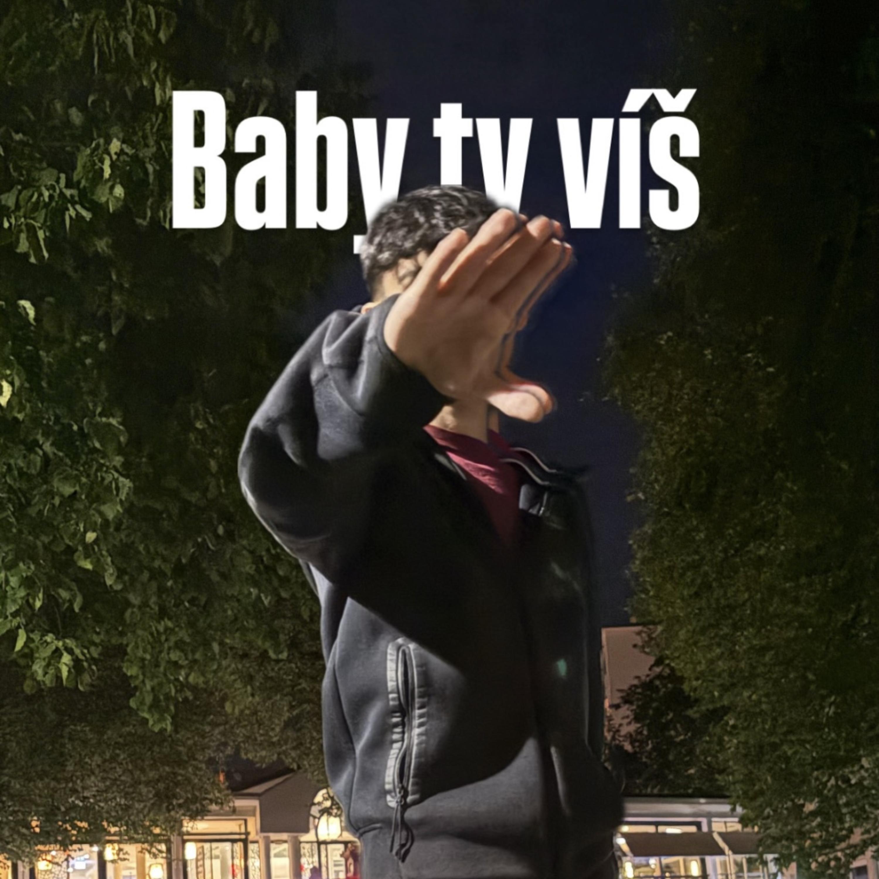 Baby Ty Víš artwork