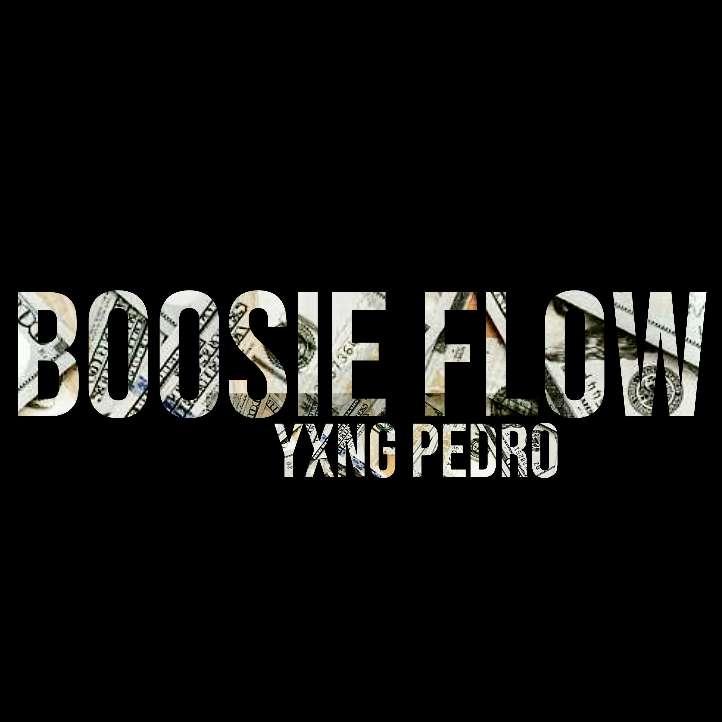 Boosie Flow artwork