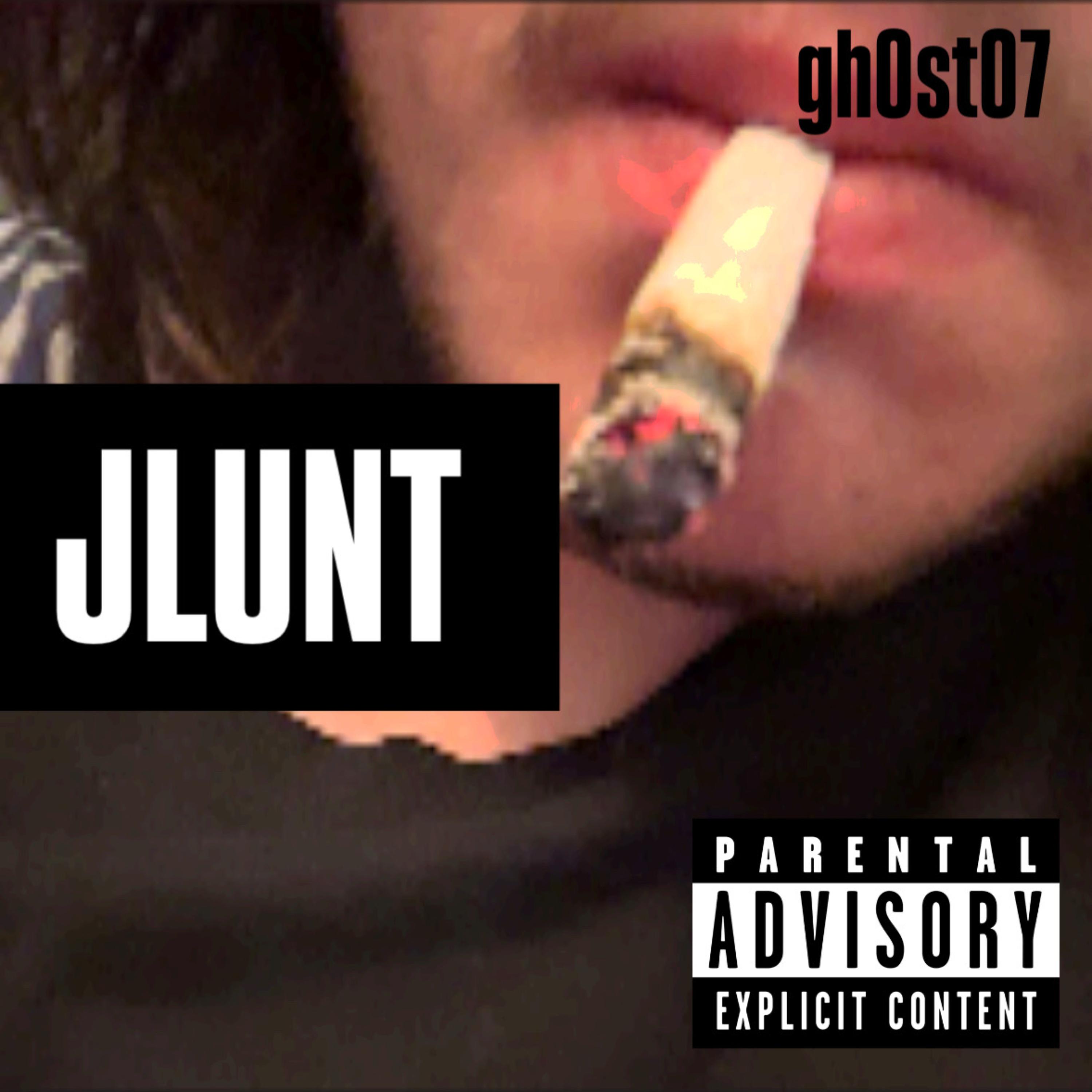 JLUNT artwork