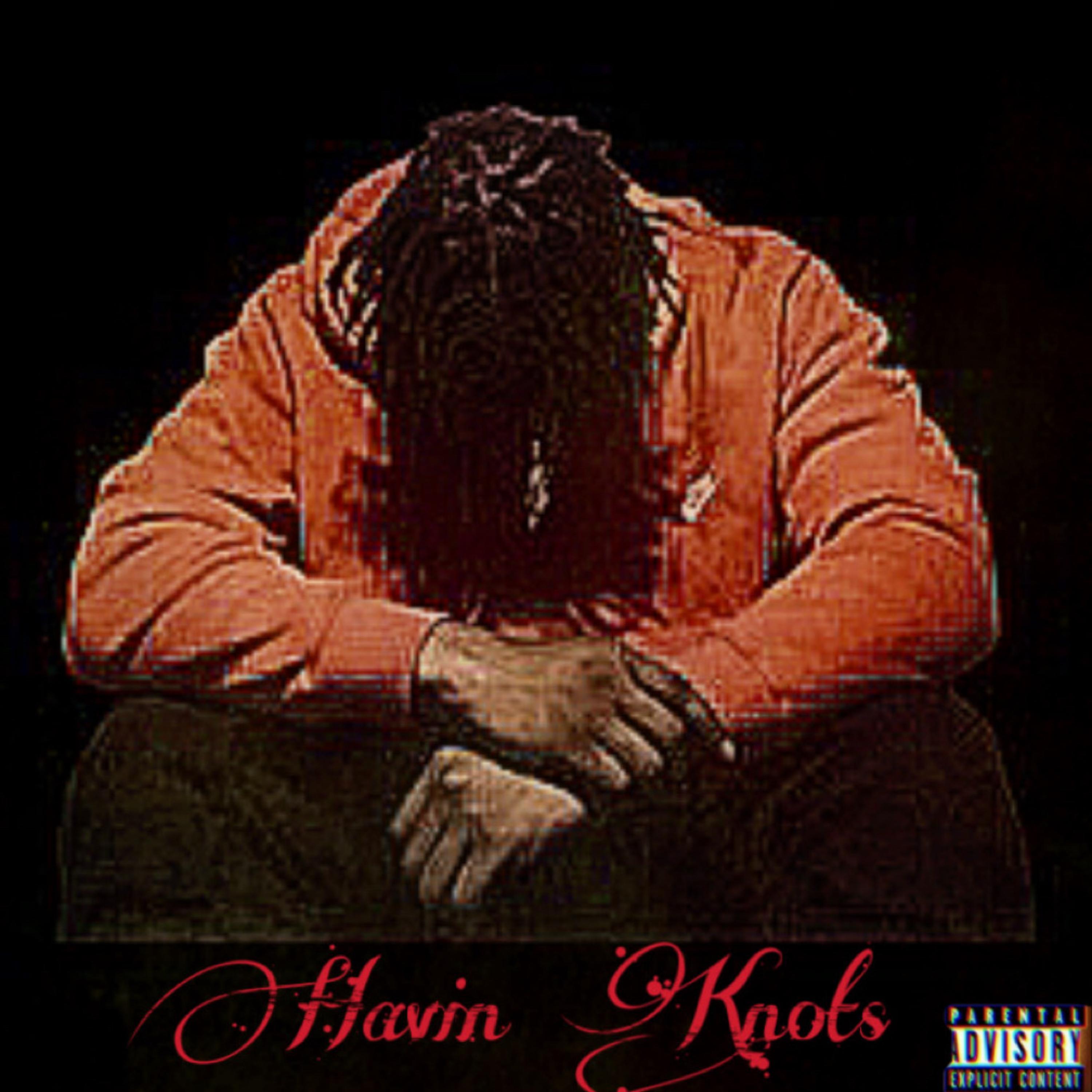 Havin Nots artwork