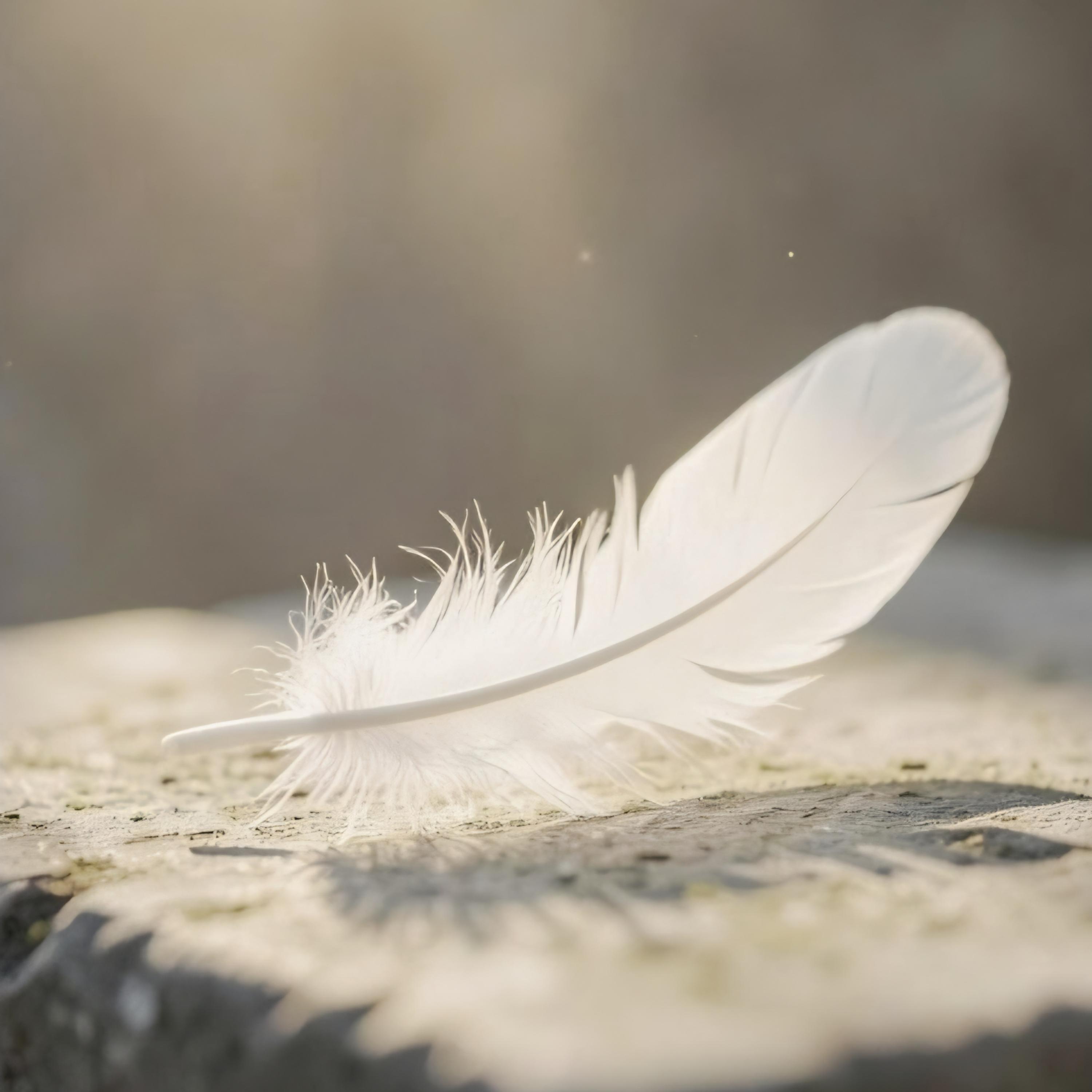 Te Exaltamos Señor artwork