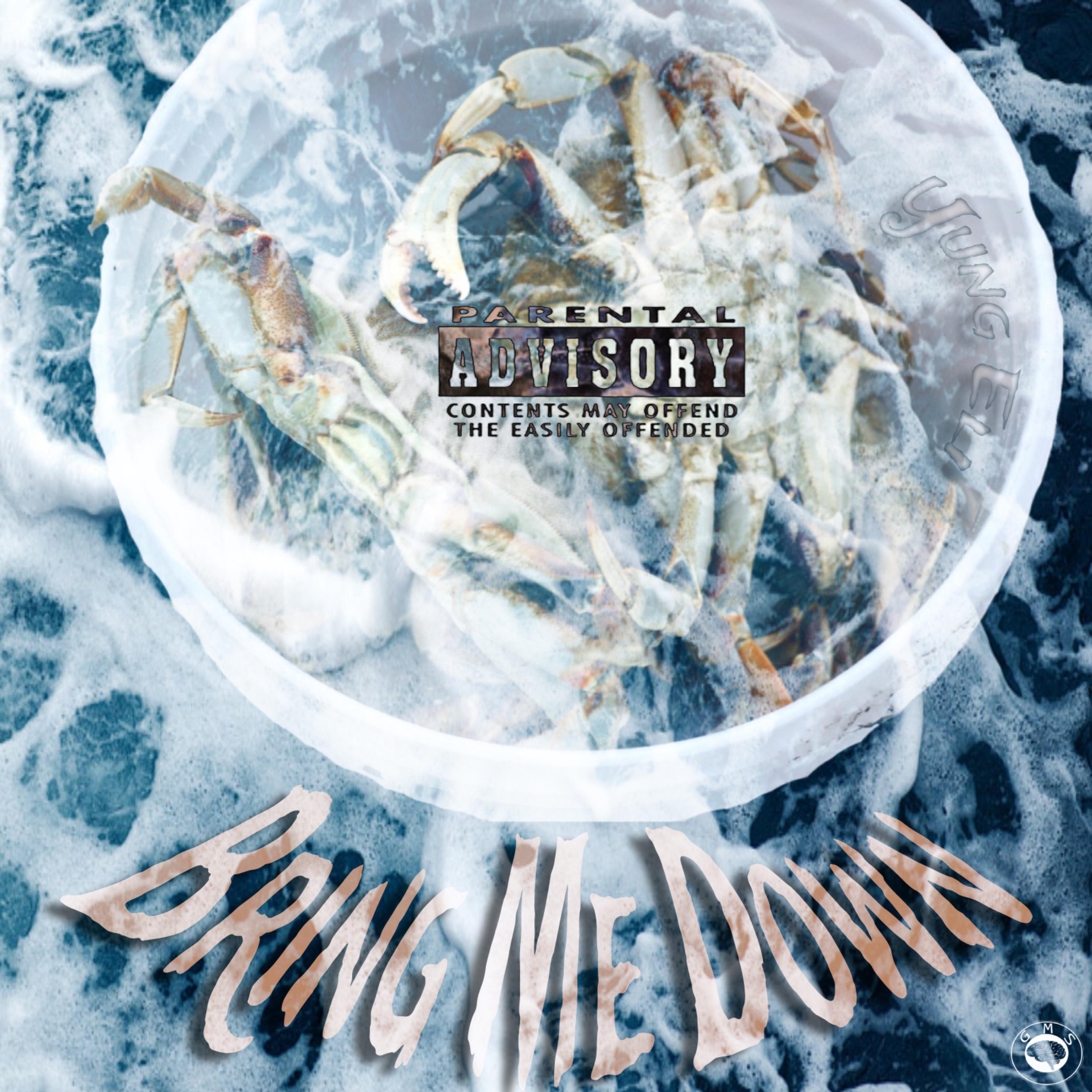 Bring Me Down artwork