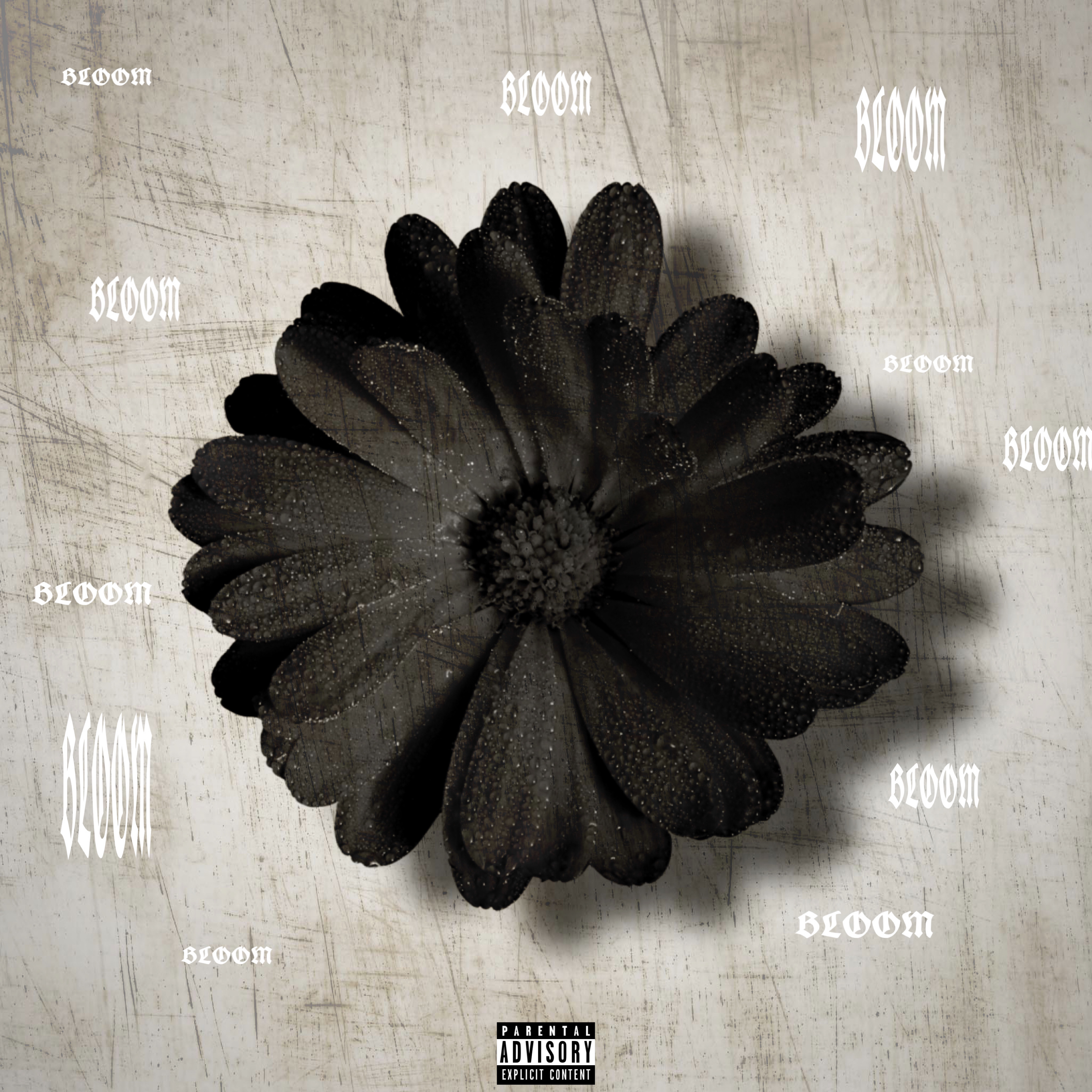 BLOOM artwork