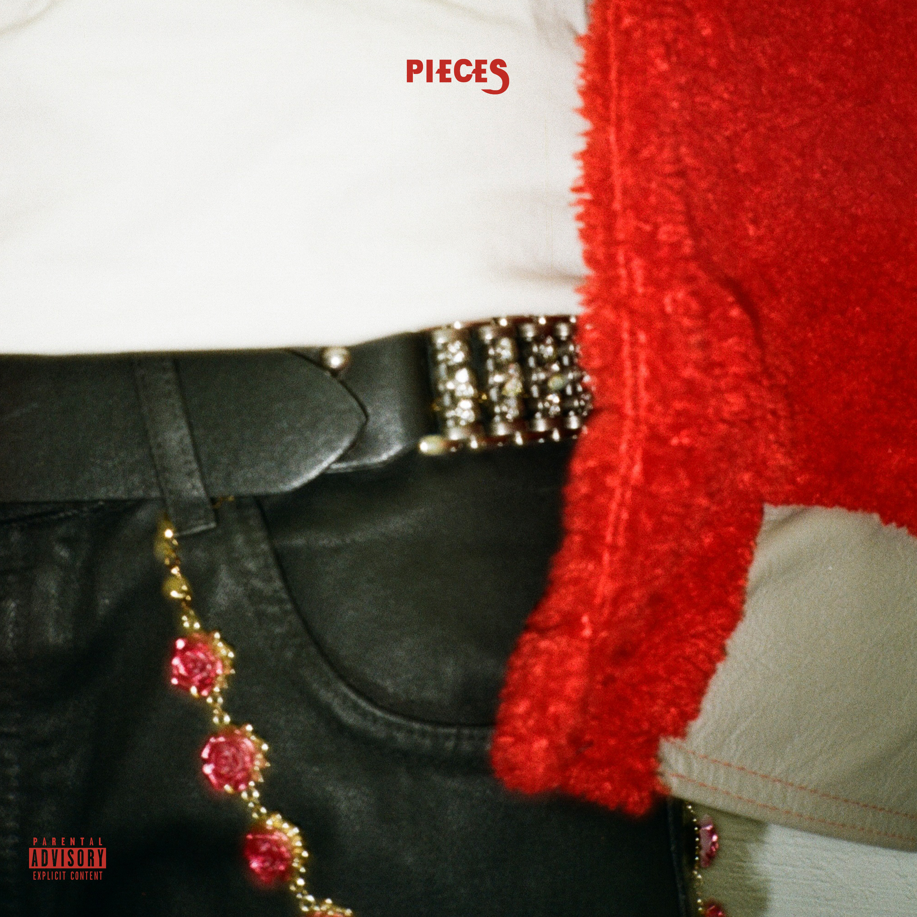 Pieces artwork