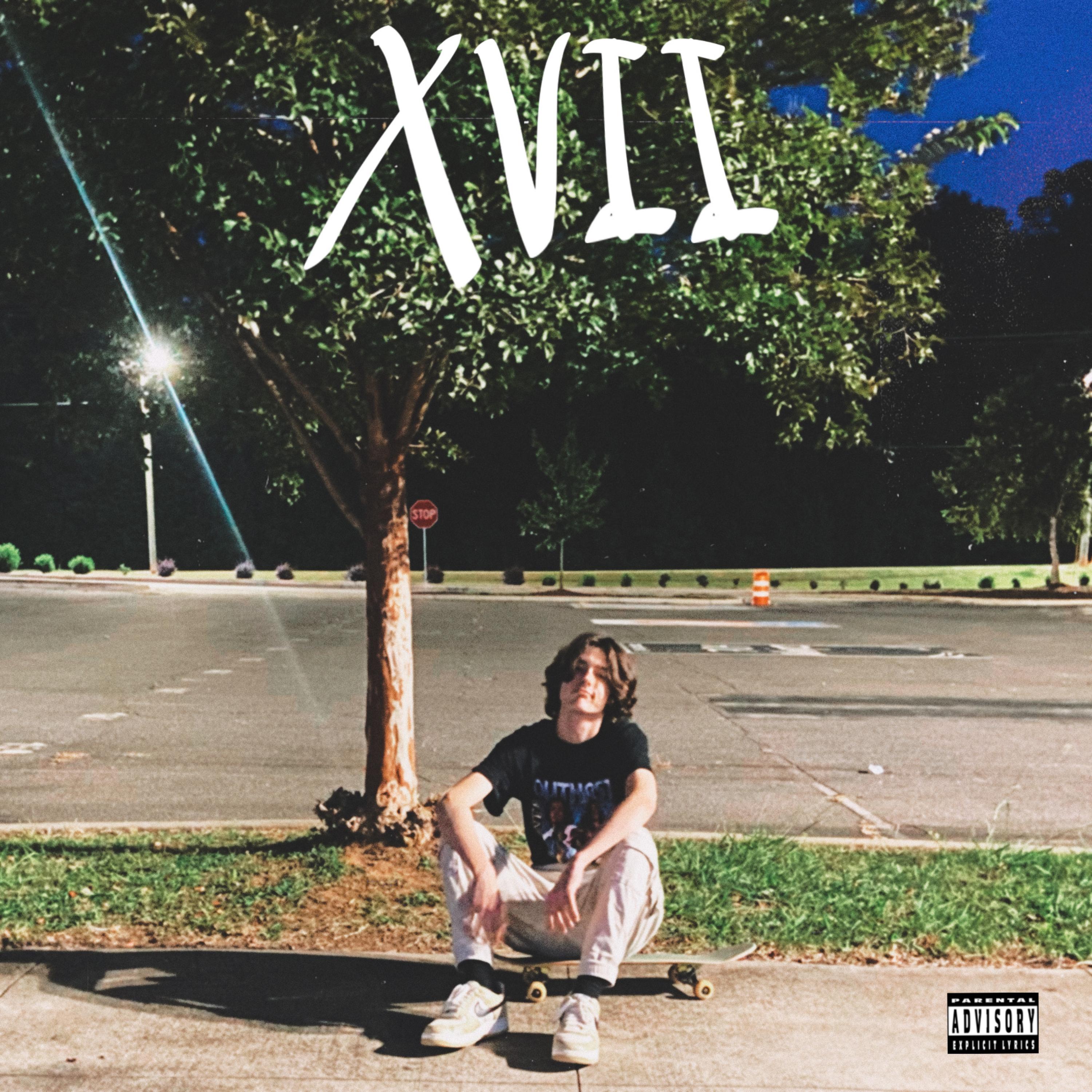 XVII artwork
