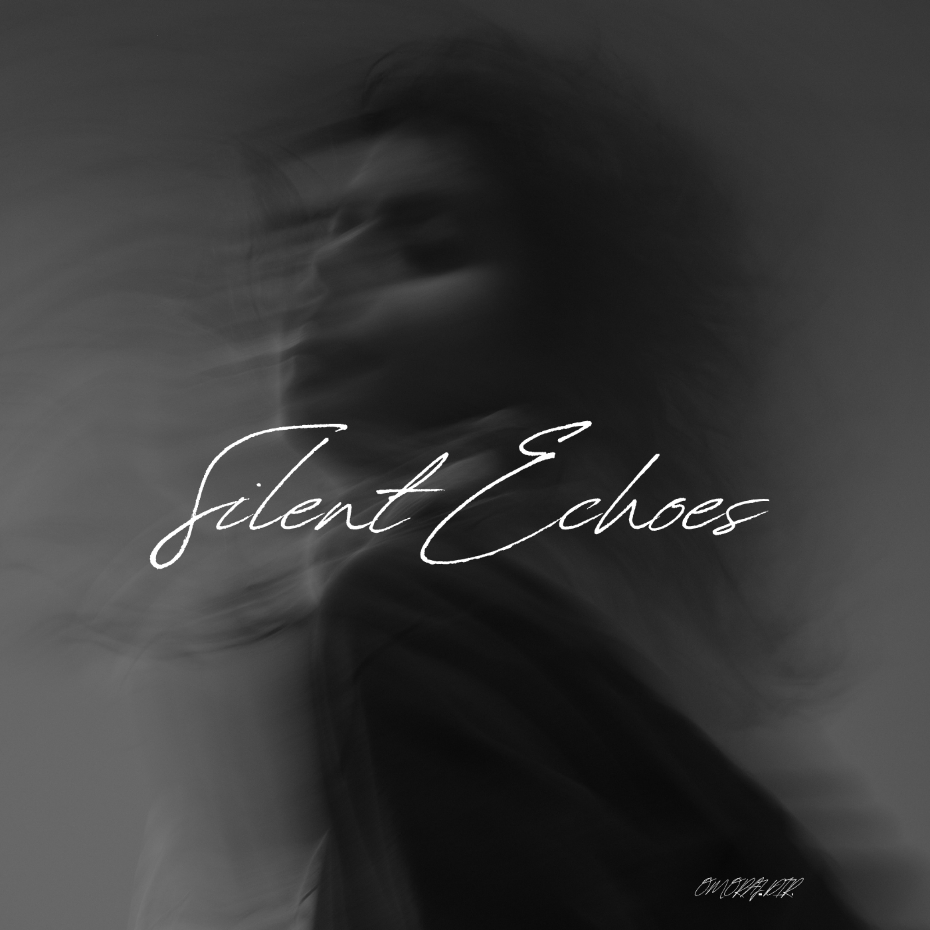 Silent Echoes by Omoraj Dir cover art