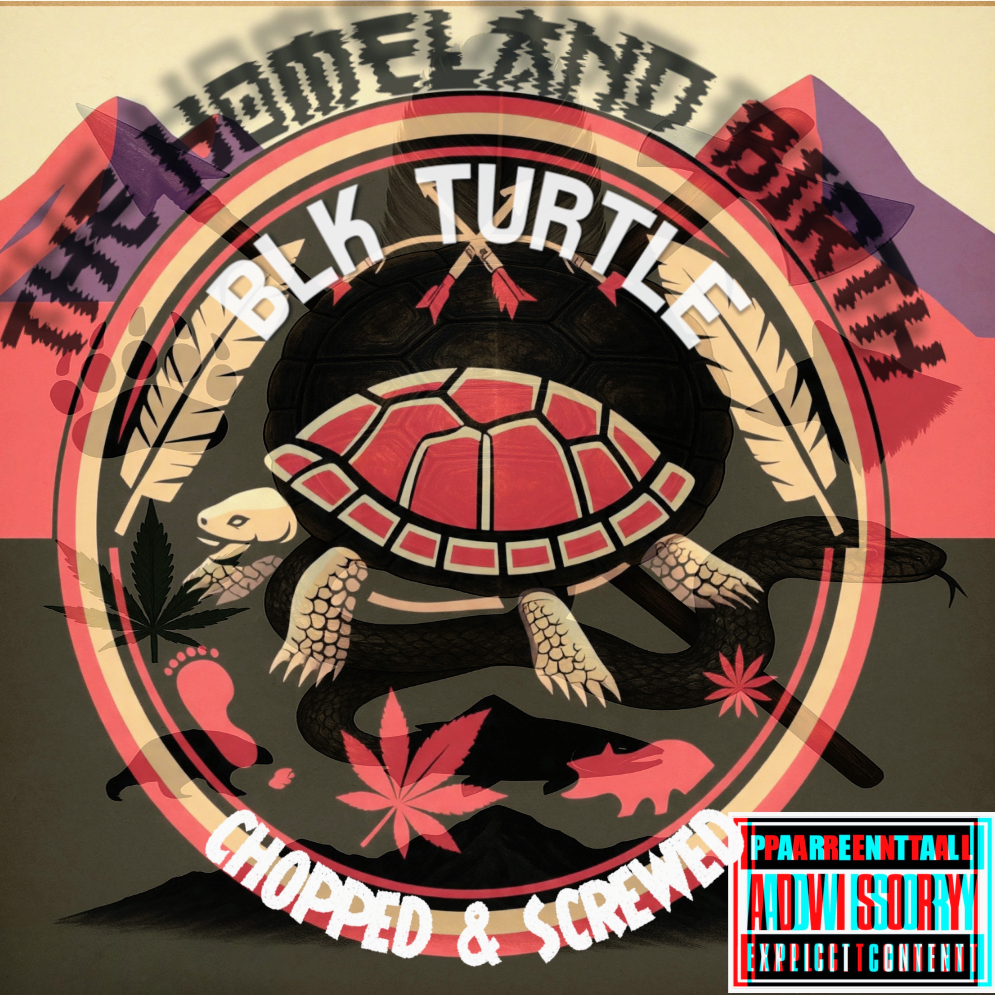 THE HOMELAND BIRTH (CHOPPED & SCREWED) artwork