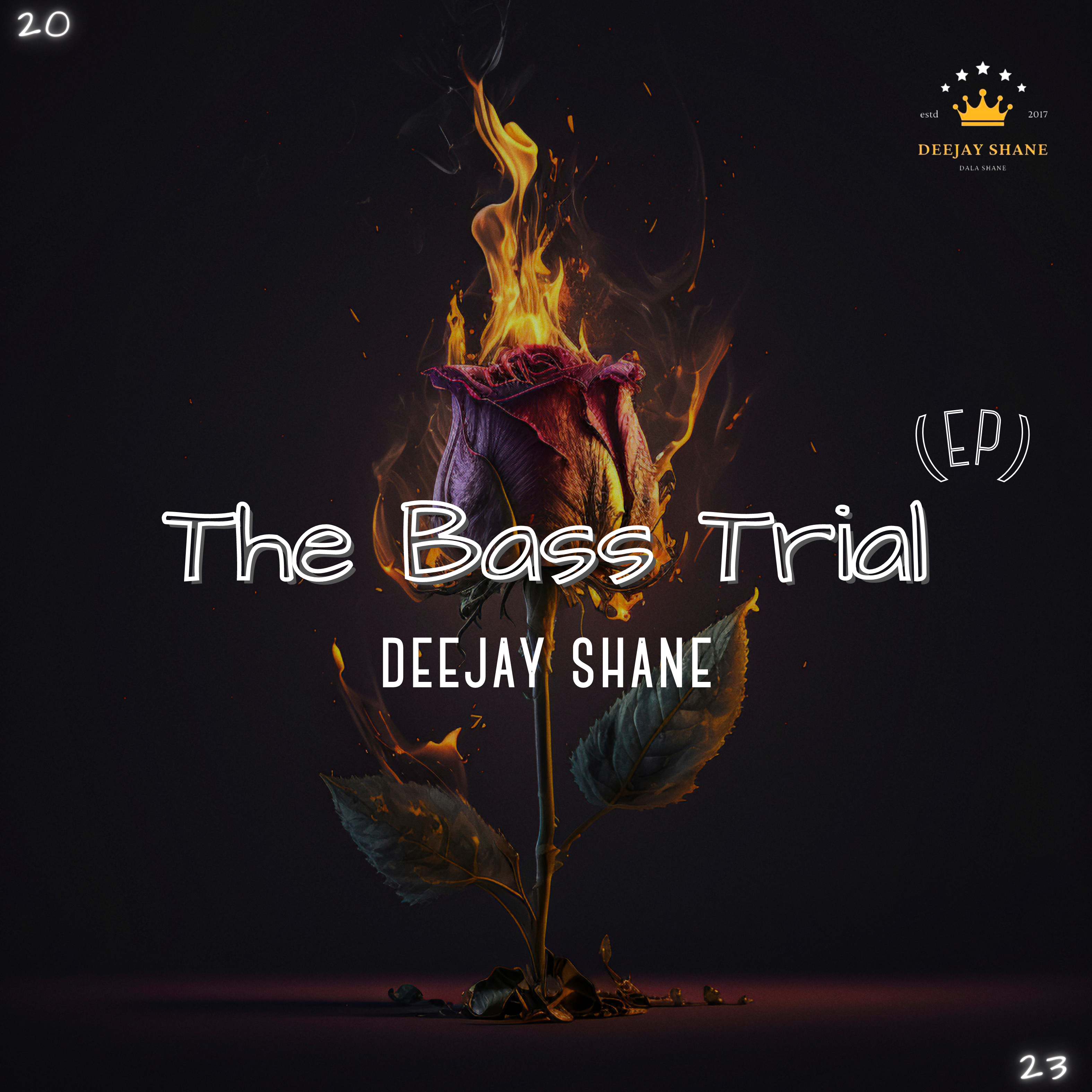 The Bass Trial  artwork