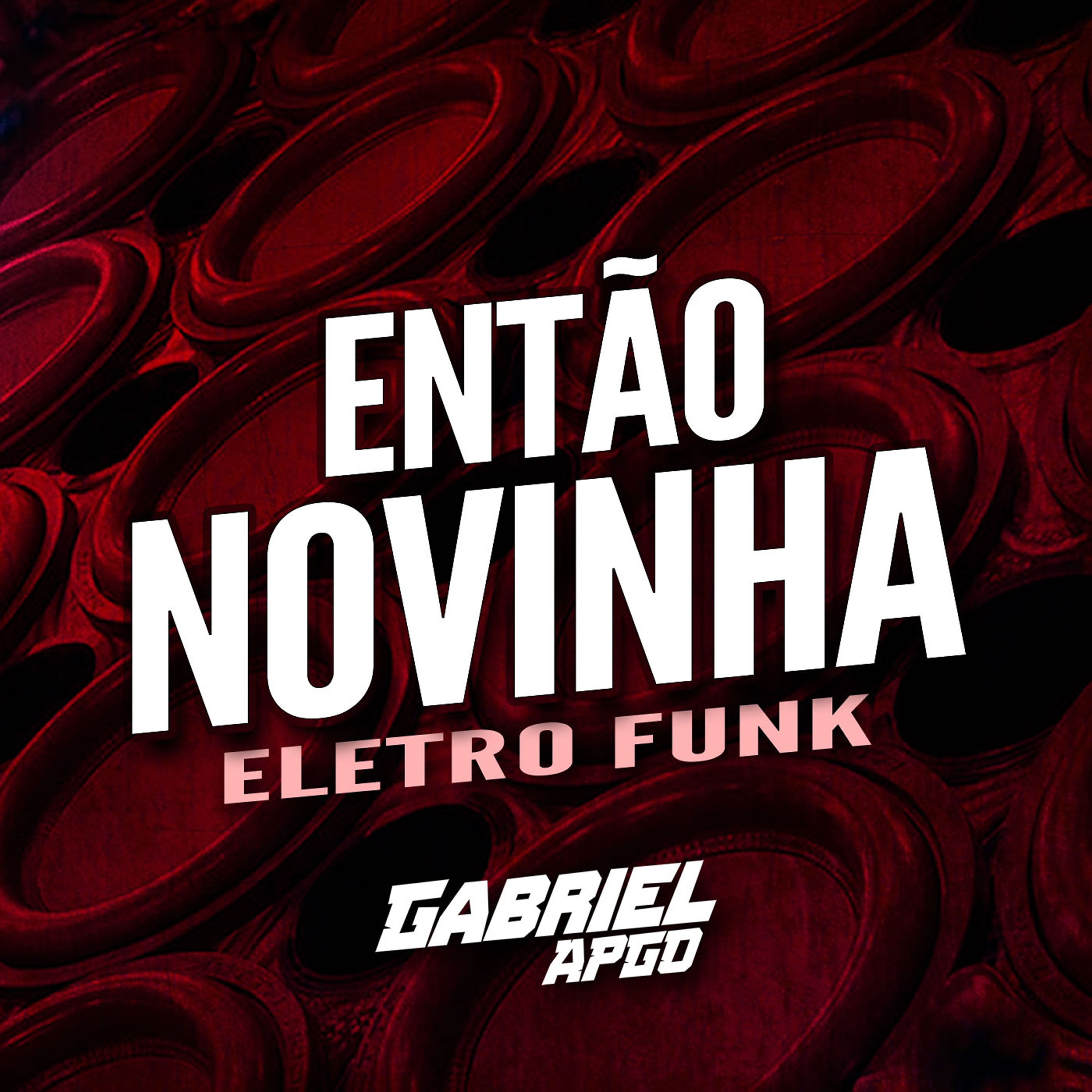 ENTÃO NOVINHA by GABRIEL APGO cover art