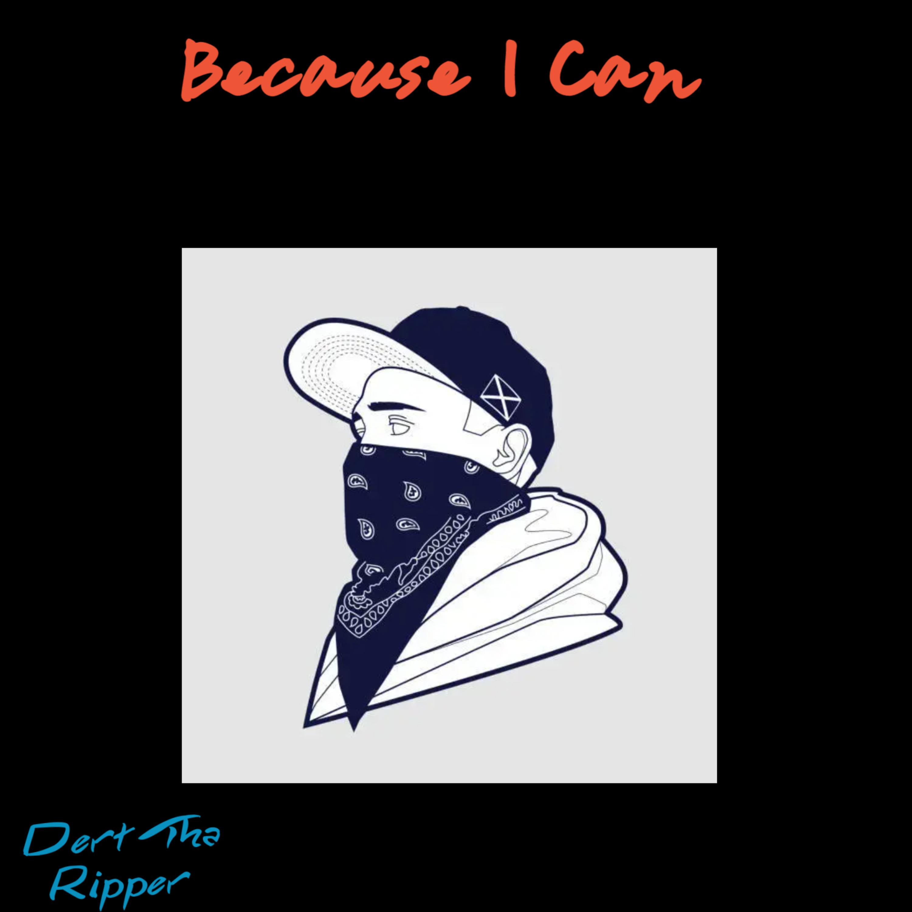Because I Can artwork