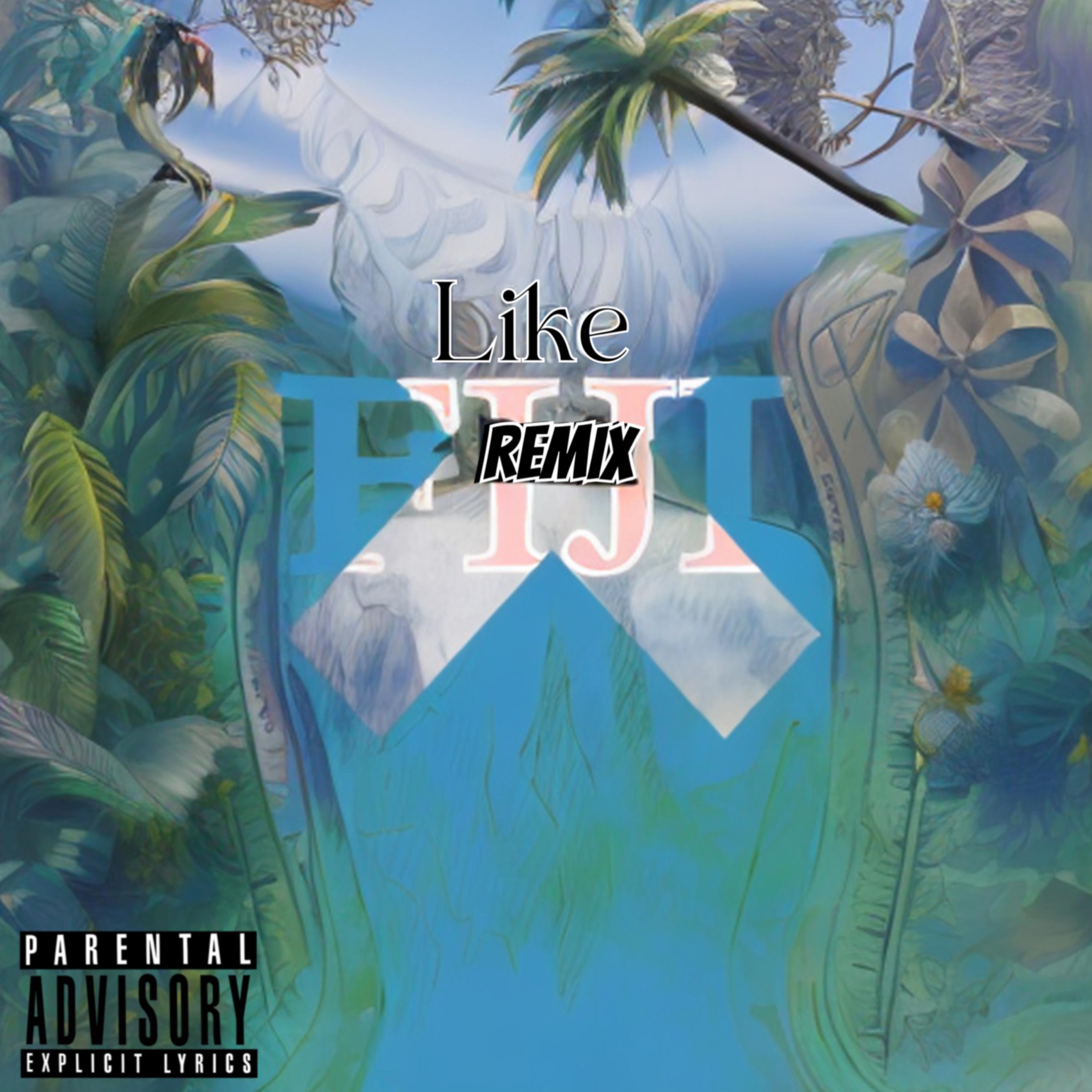 Like Fiji (remix) artwork