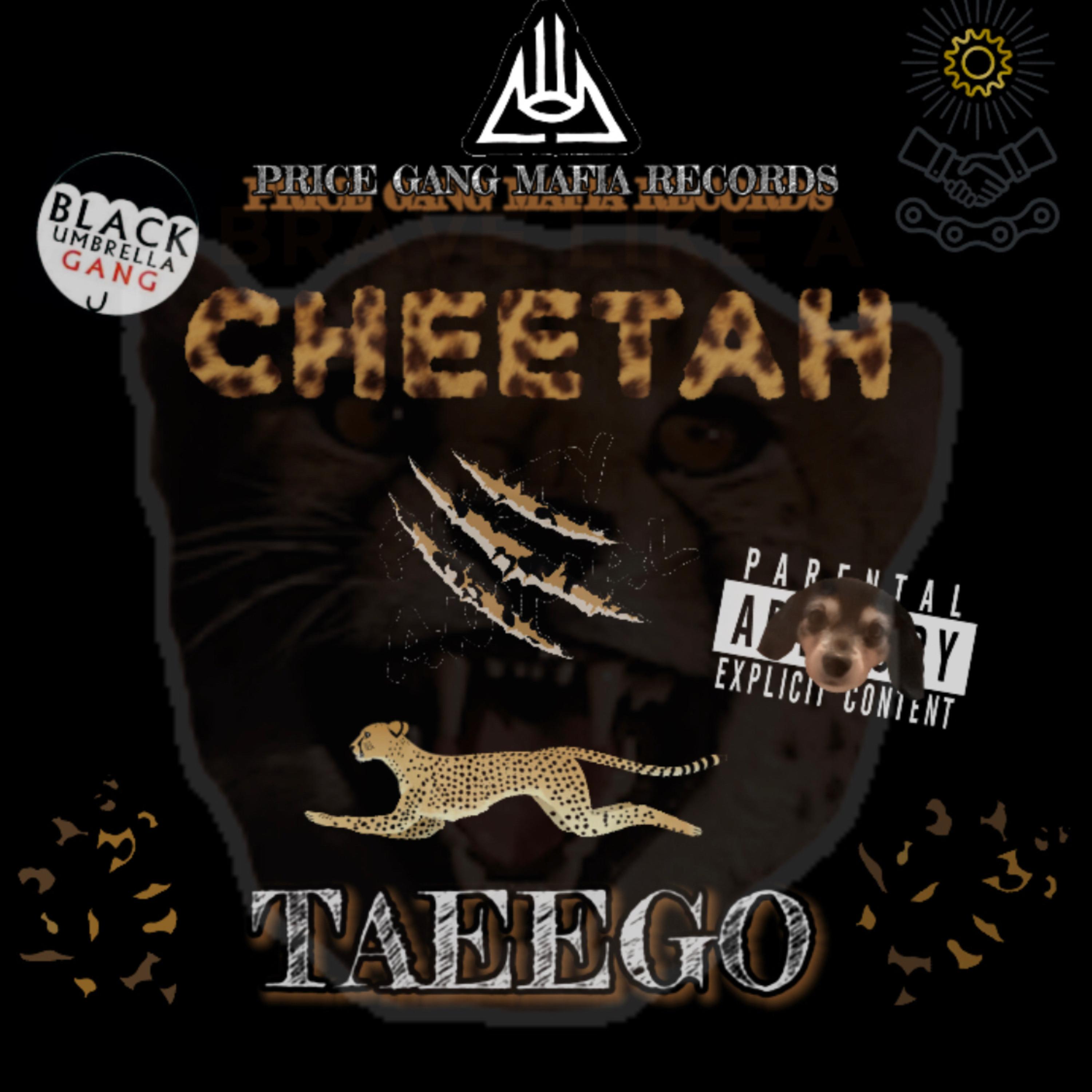 CH33TAH artwork