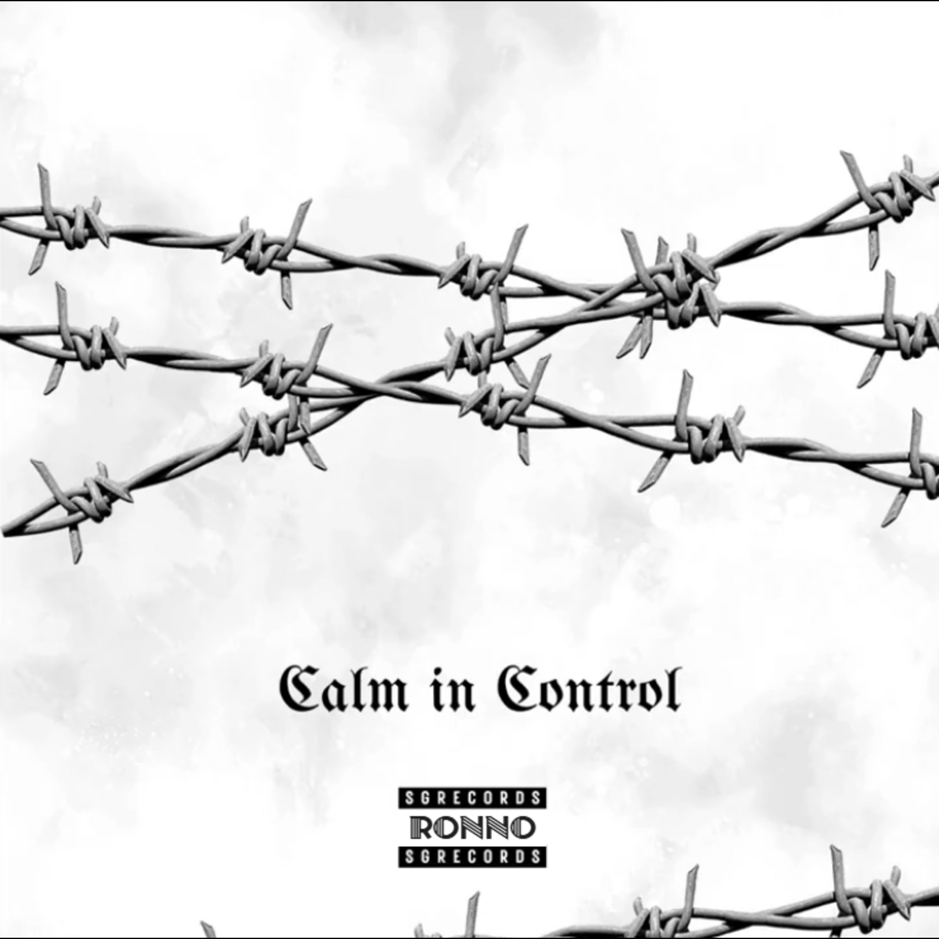 Calm In Control artwork