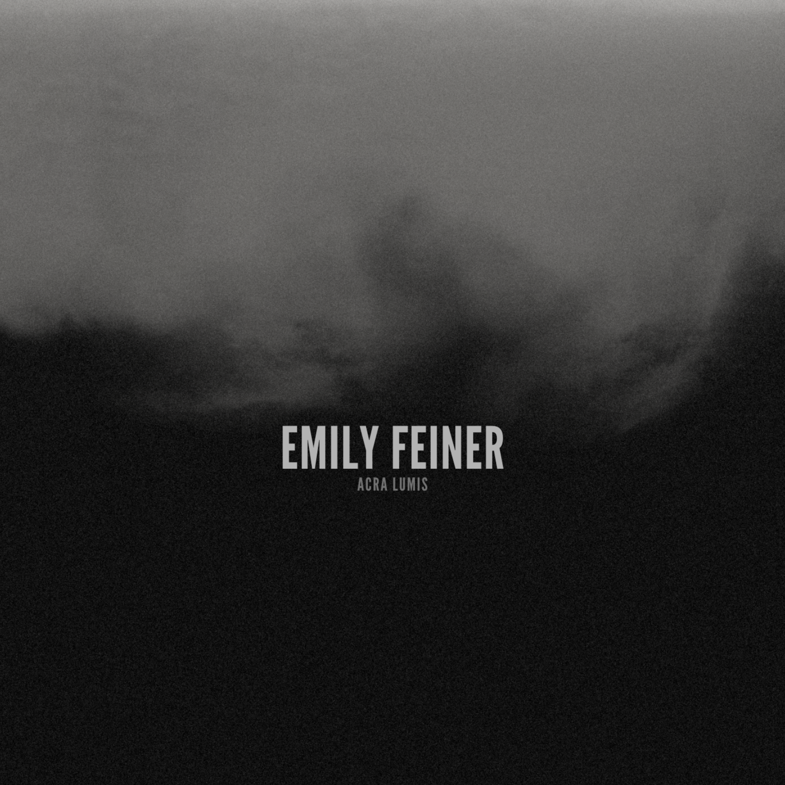 emily feiner artwork