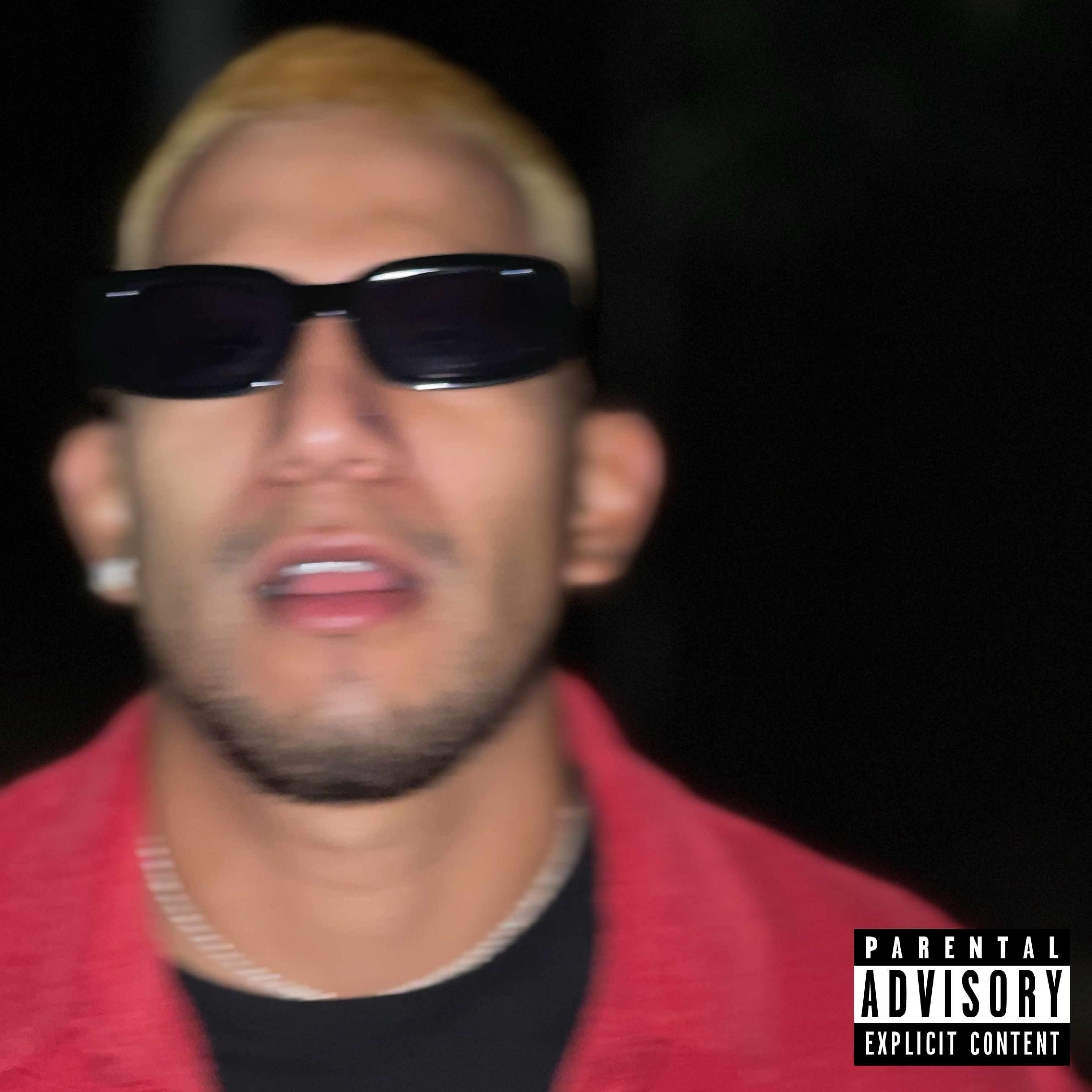 My Reality G (Nobody's Safe) by Rockstar Turtle cover art