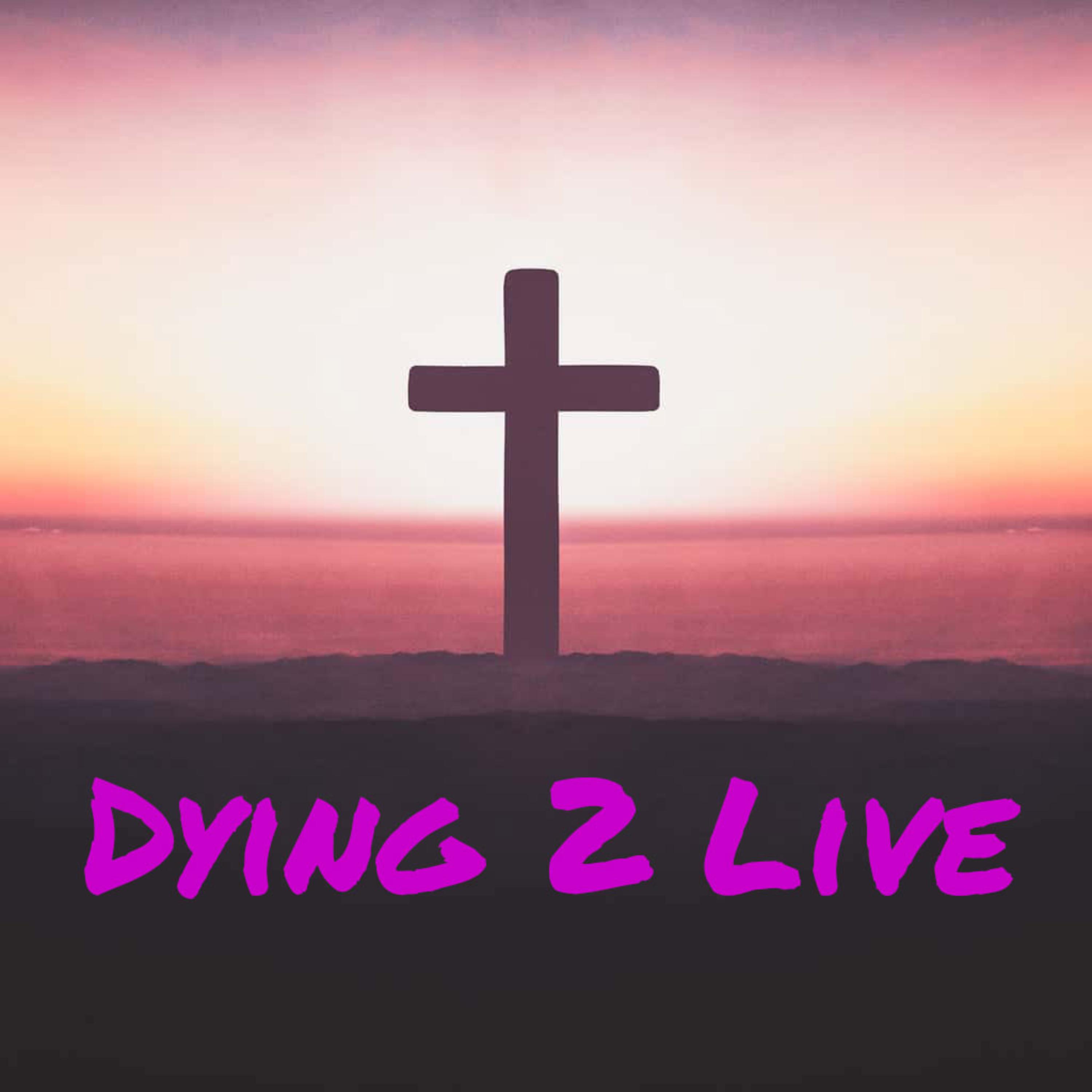 Dying 2 Live artwork