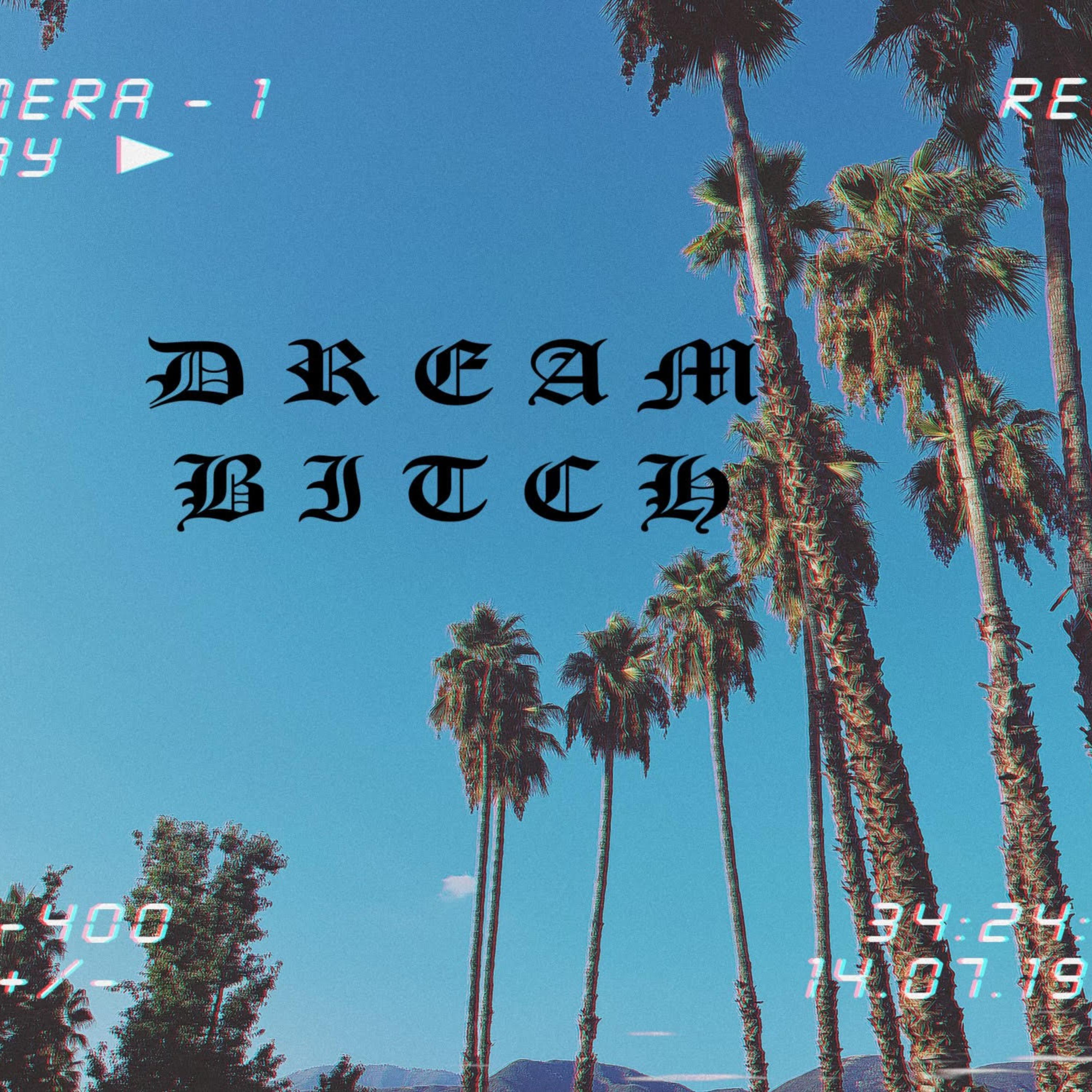 Dream bitch artwork