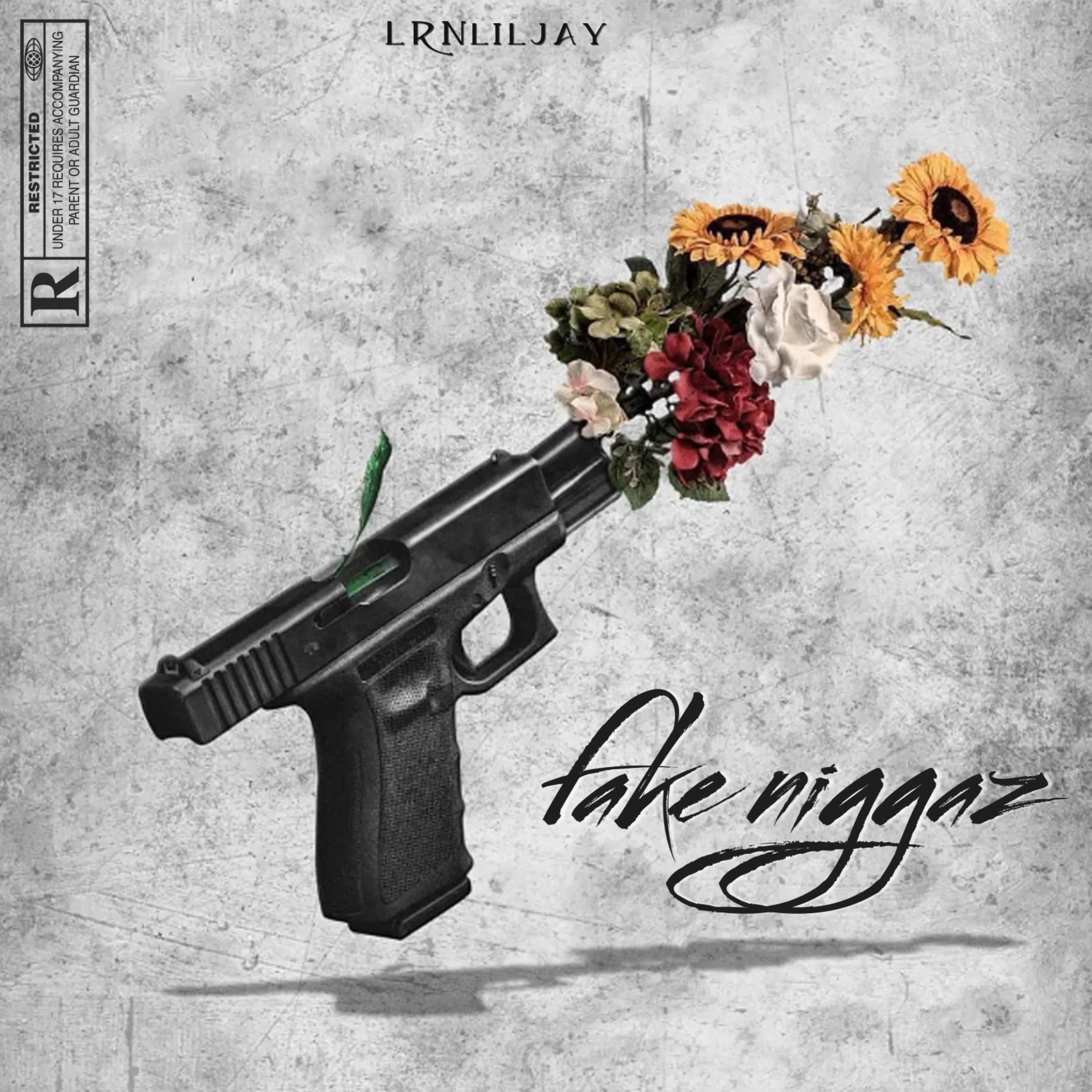 Fake Niggaz artwork