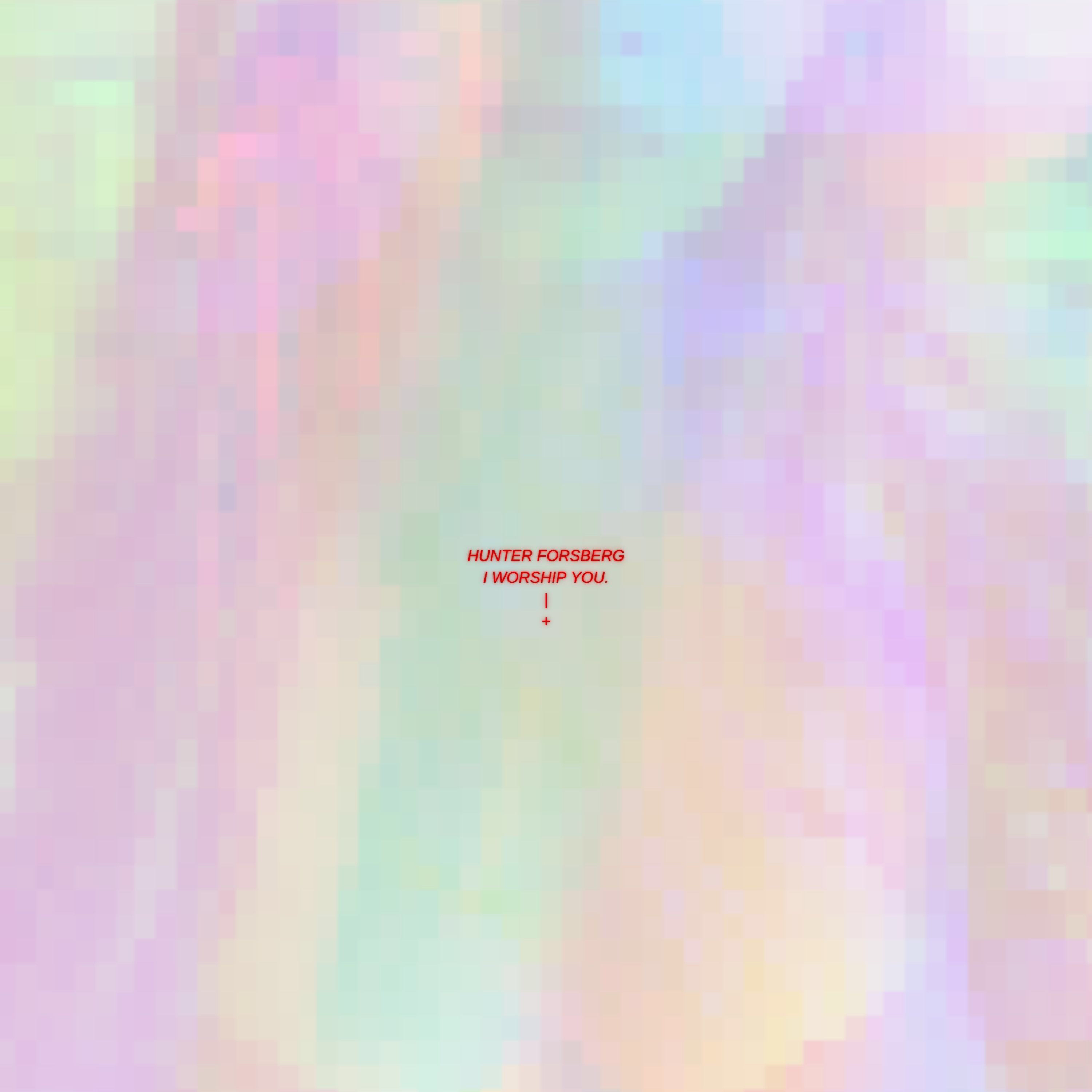 I Worship You. artwork