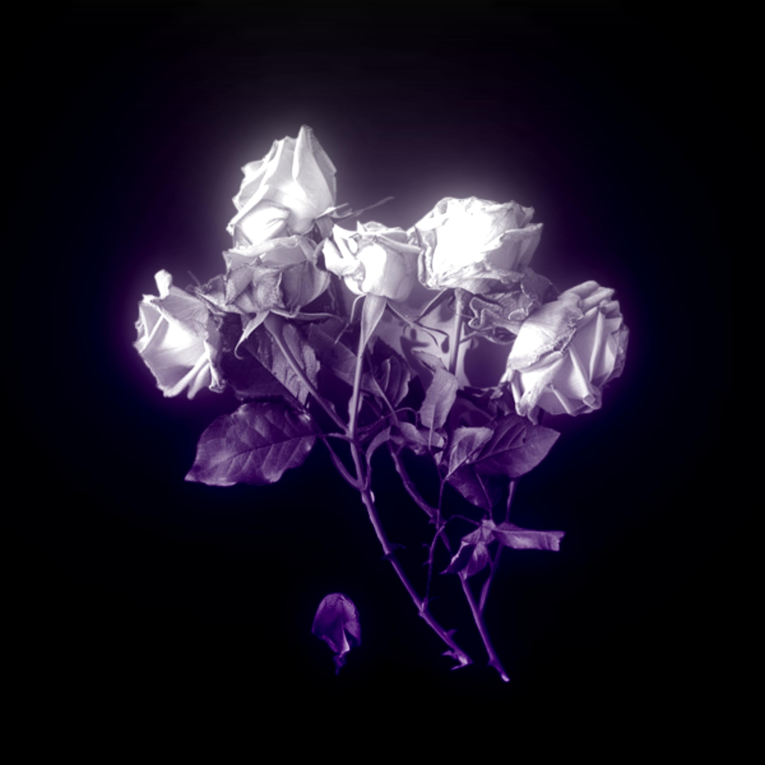 the beauty behind you artwork