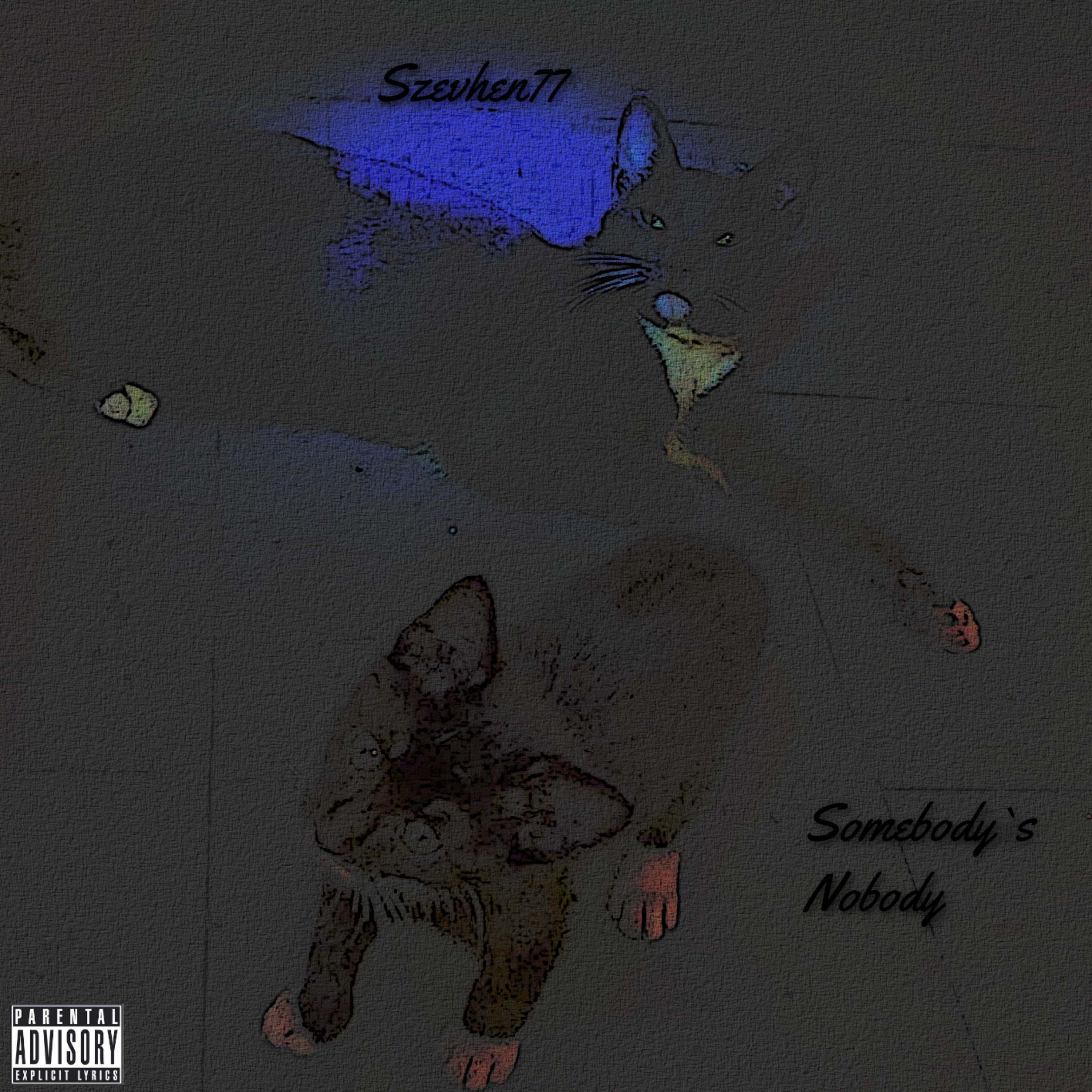 Somebody`s Nobody artwork