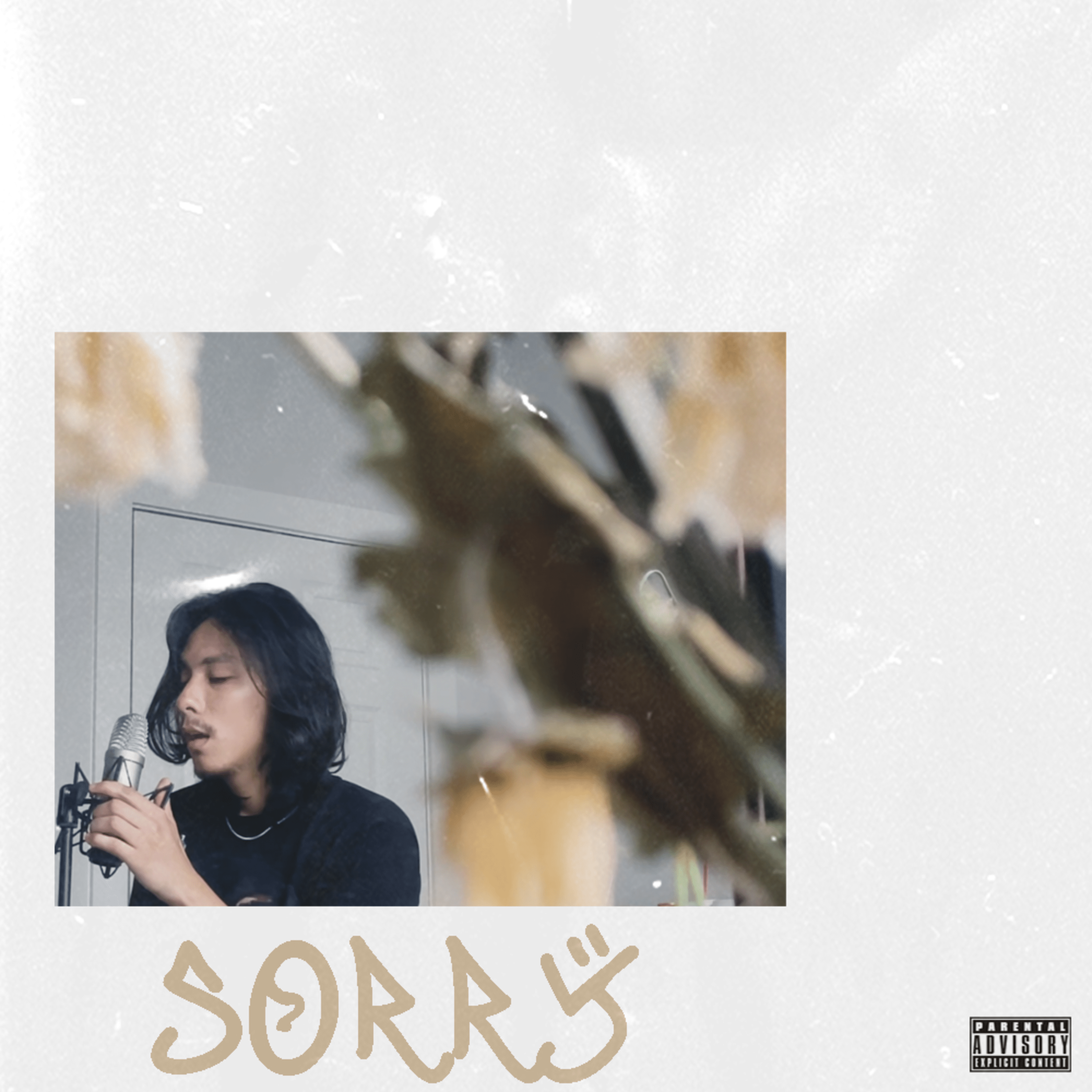 SORRY by S7GMA