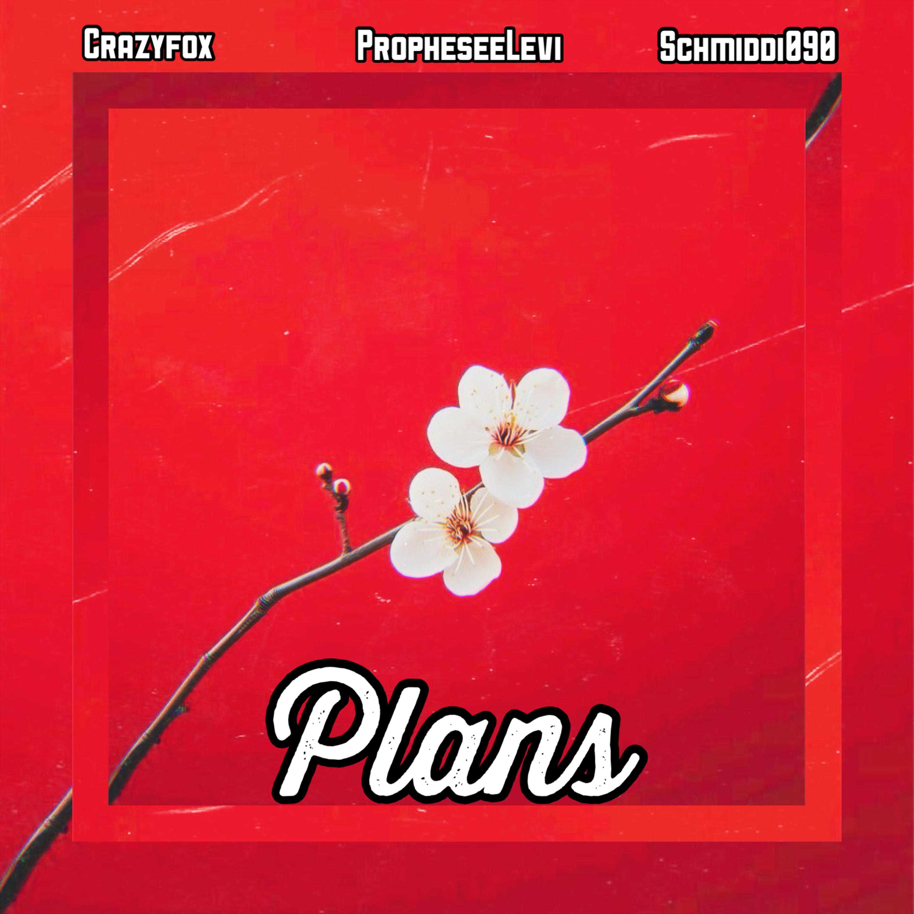 Plans artwork