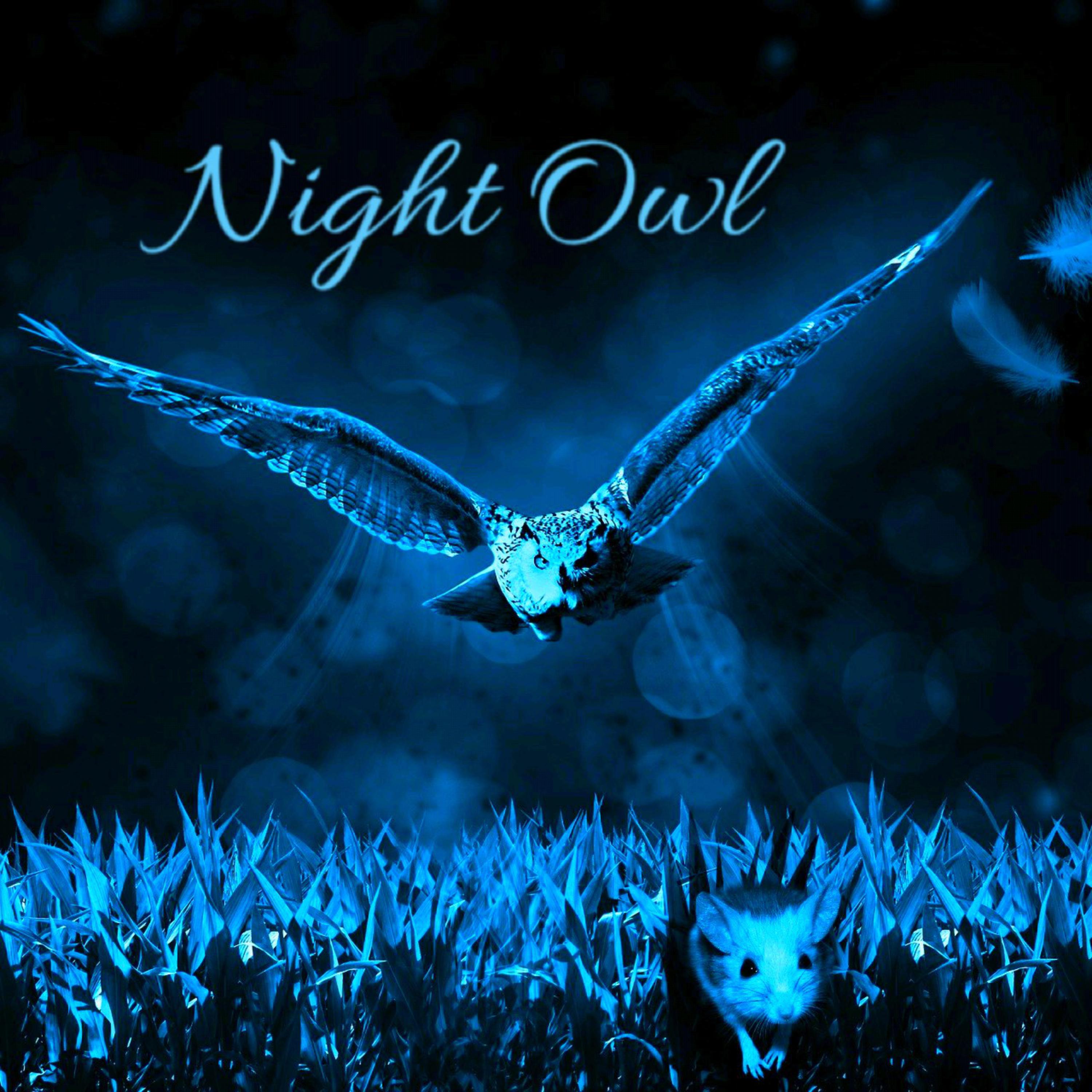 Night Owl artwork