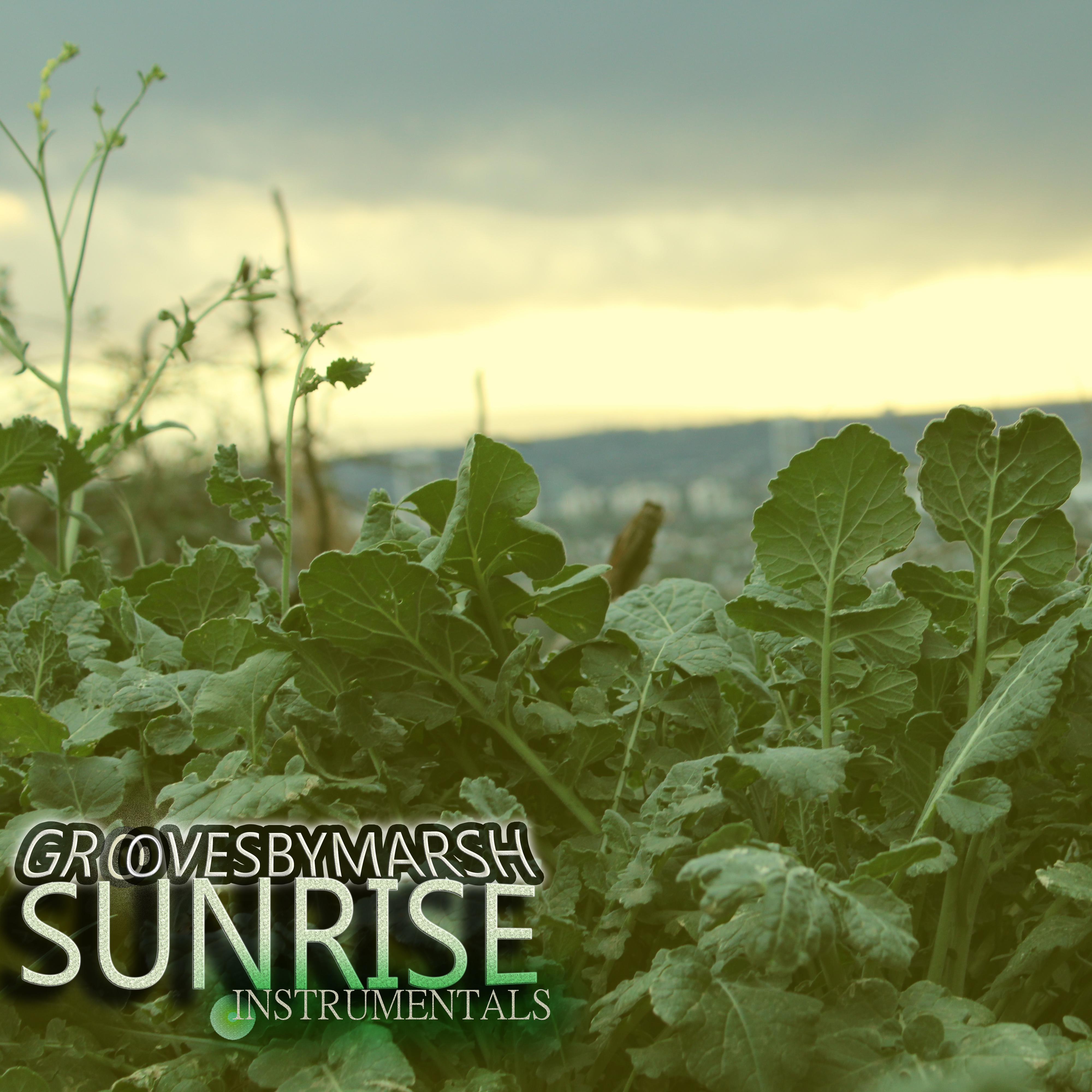 Sunrise Instrumentals by GroovesByMarsh cover art