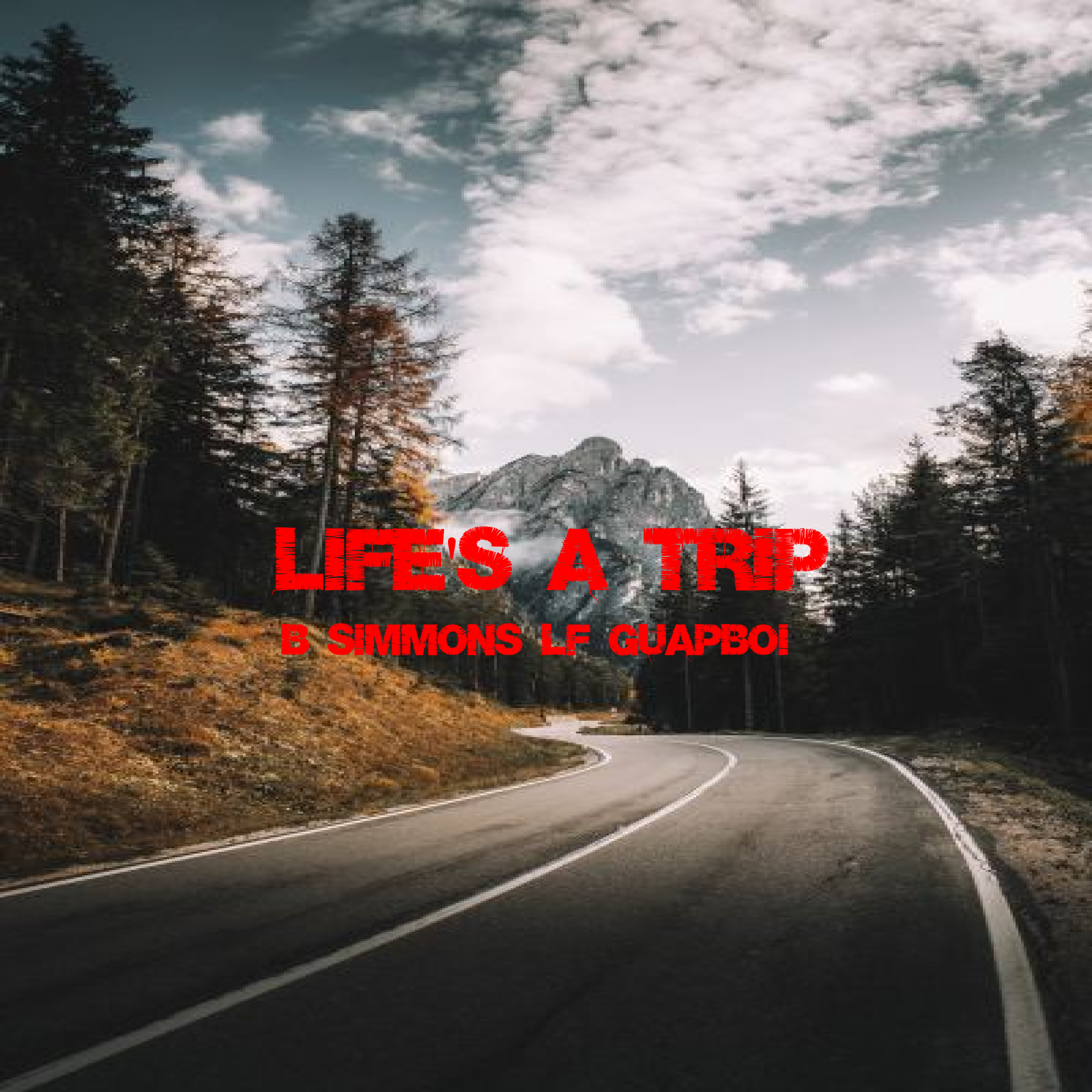 Life's A Trip artwork