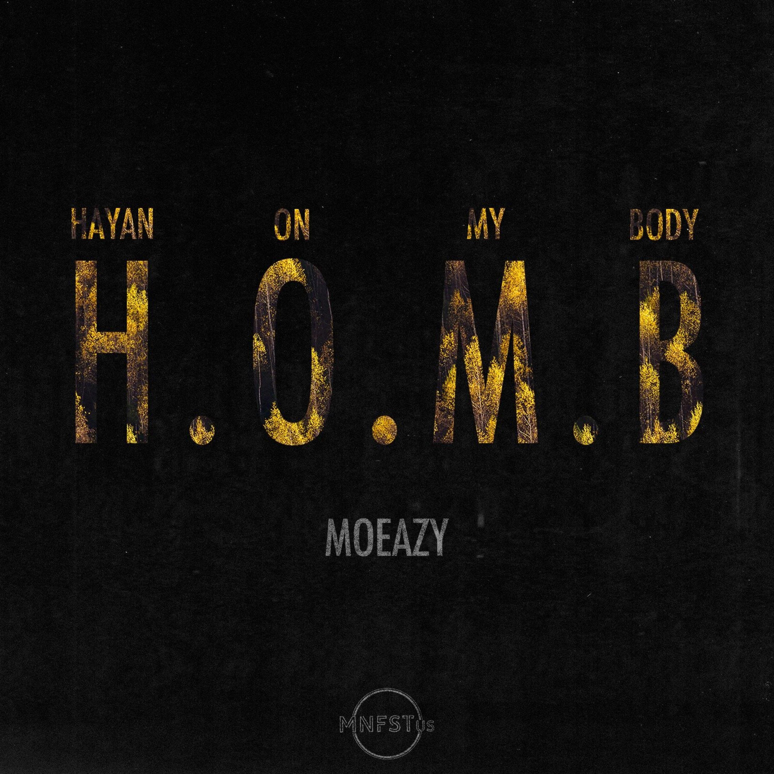 HOMB by Anweezy cover art