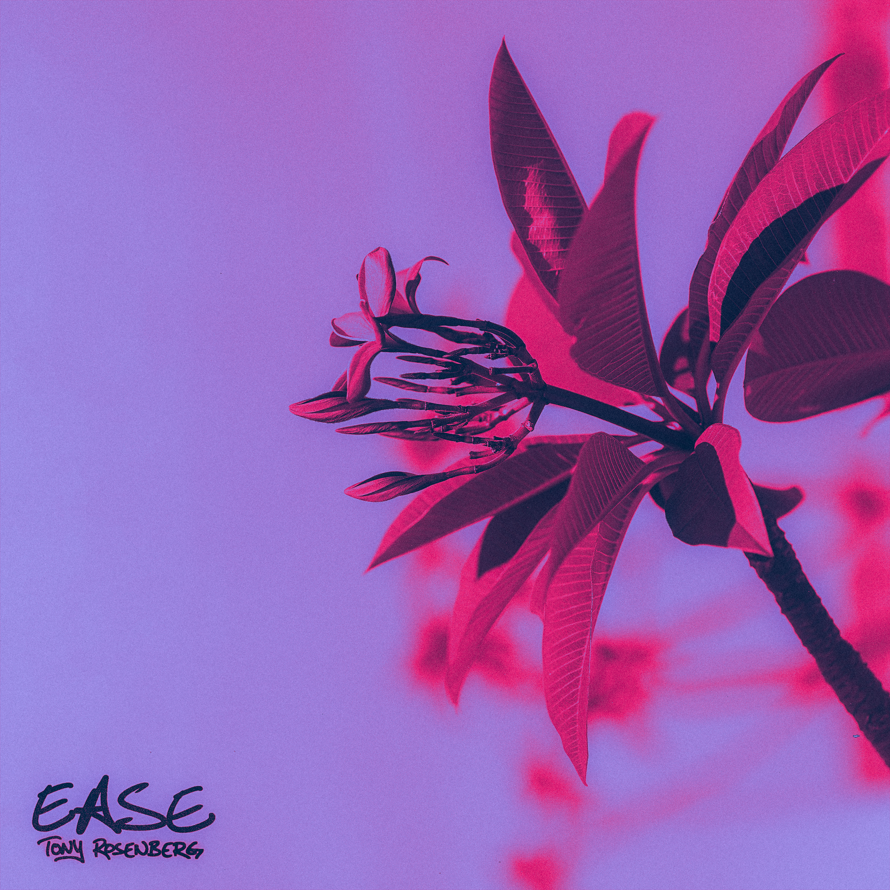 Ease artwork