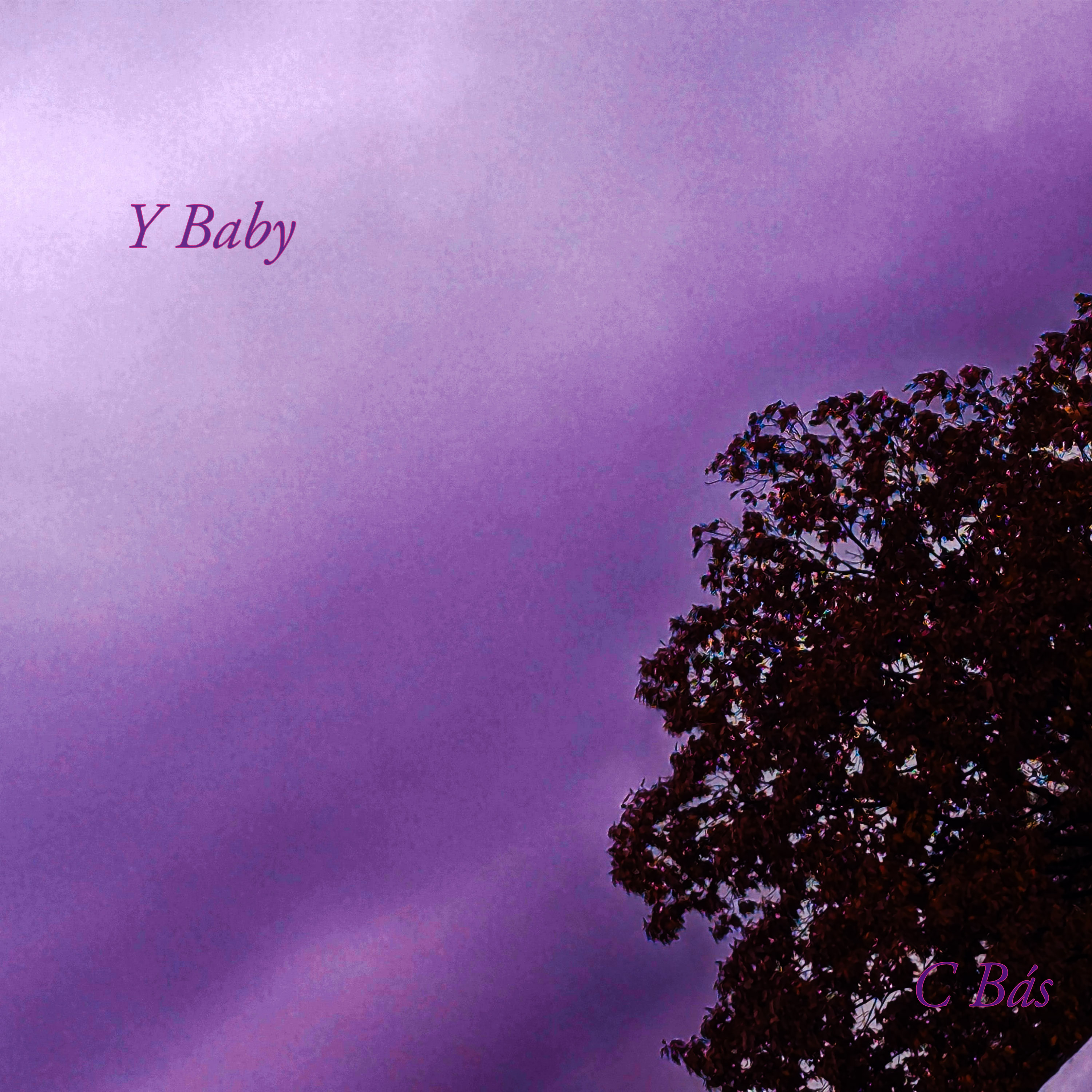 Y Baby artwork