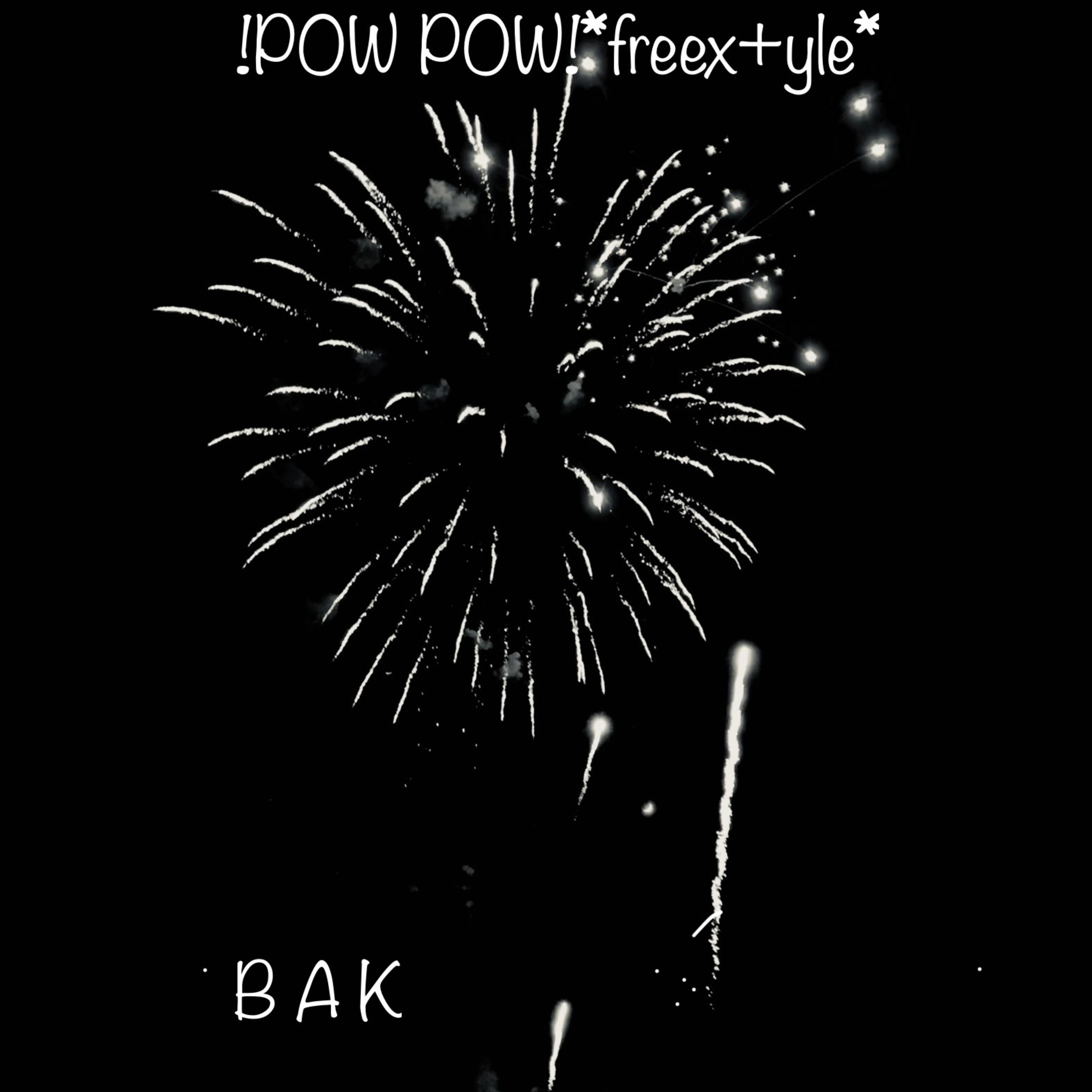 powpow freestyle artwork