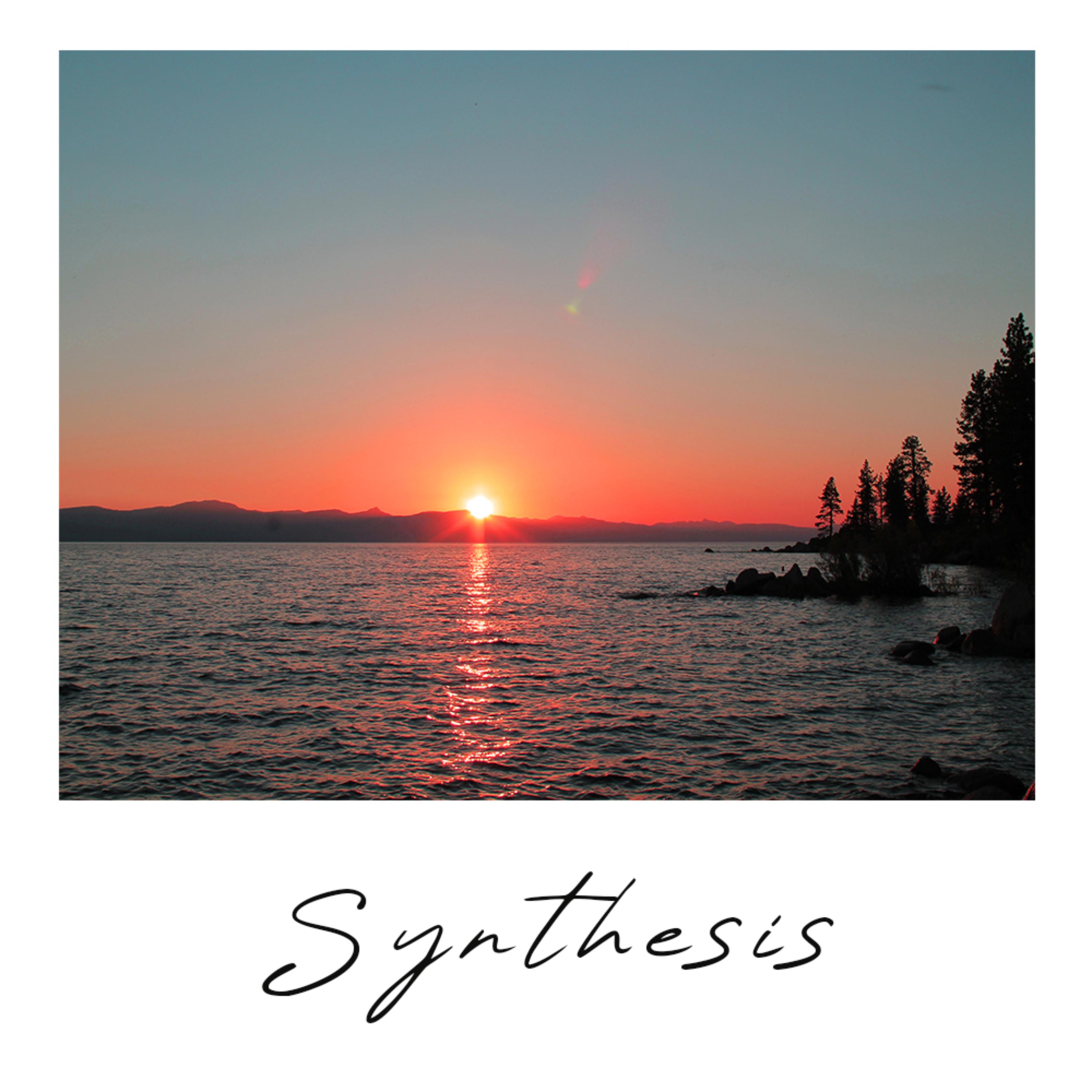 Synthesis by Greyson Relix cover art