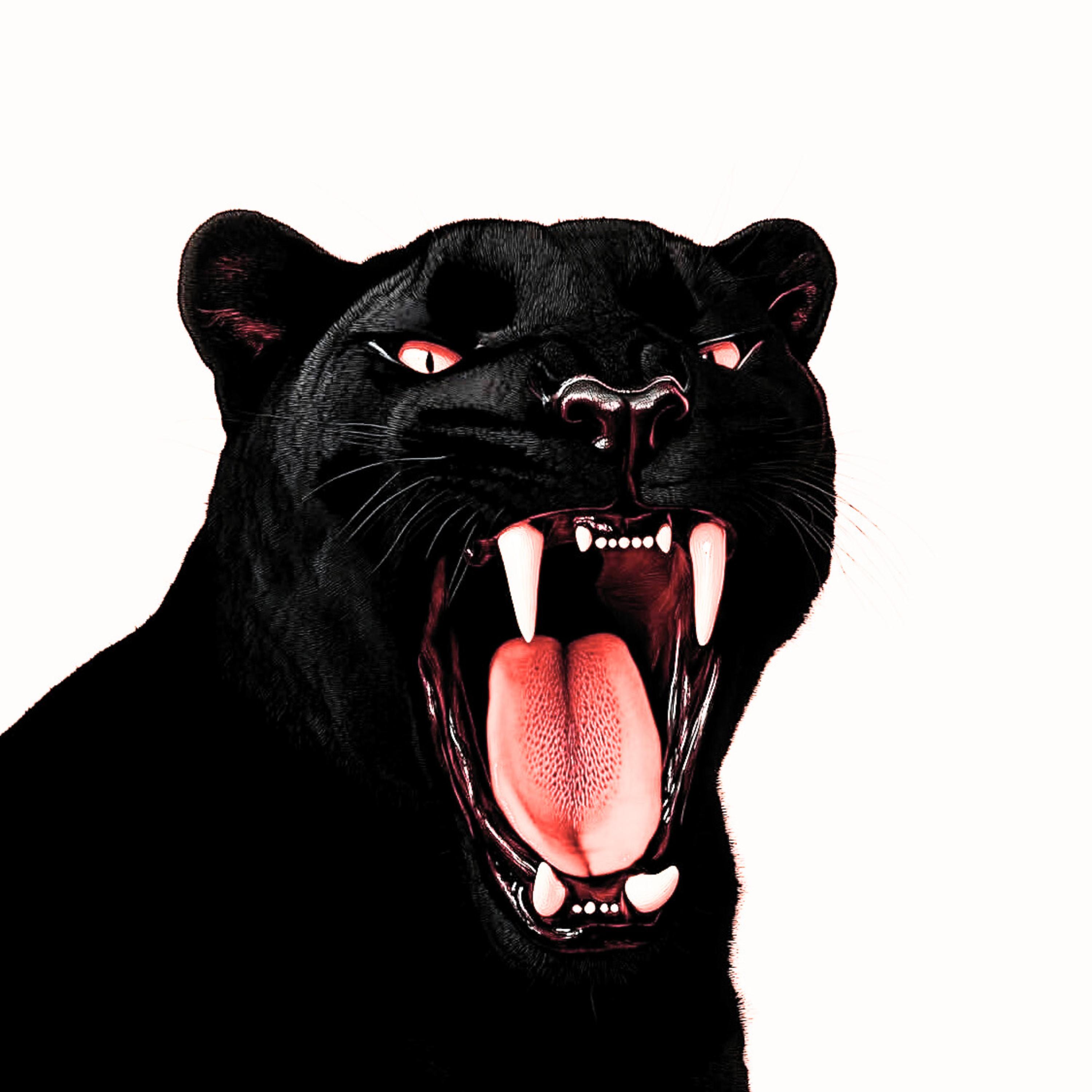OUT THE DARK artwork