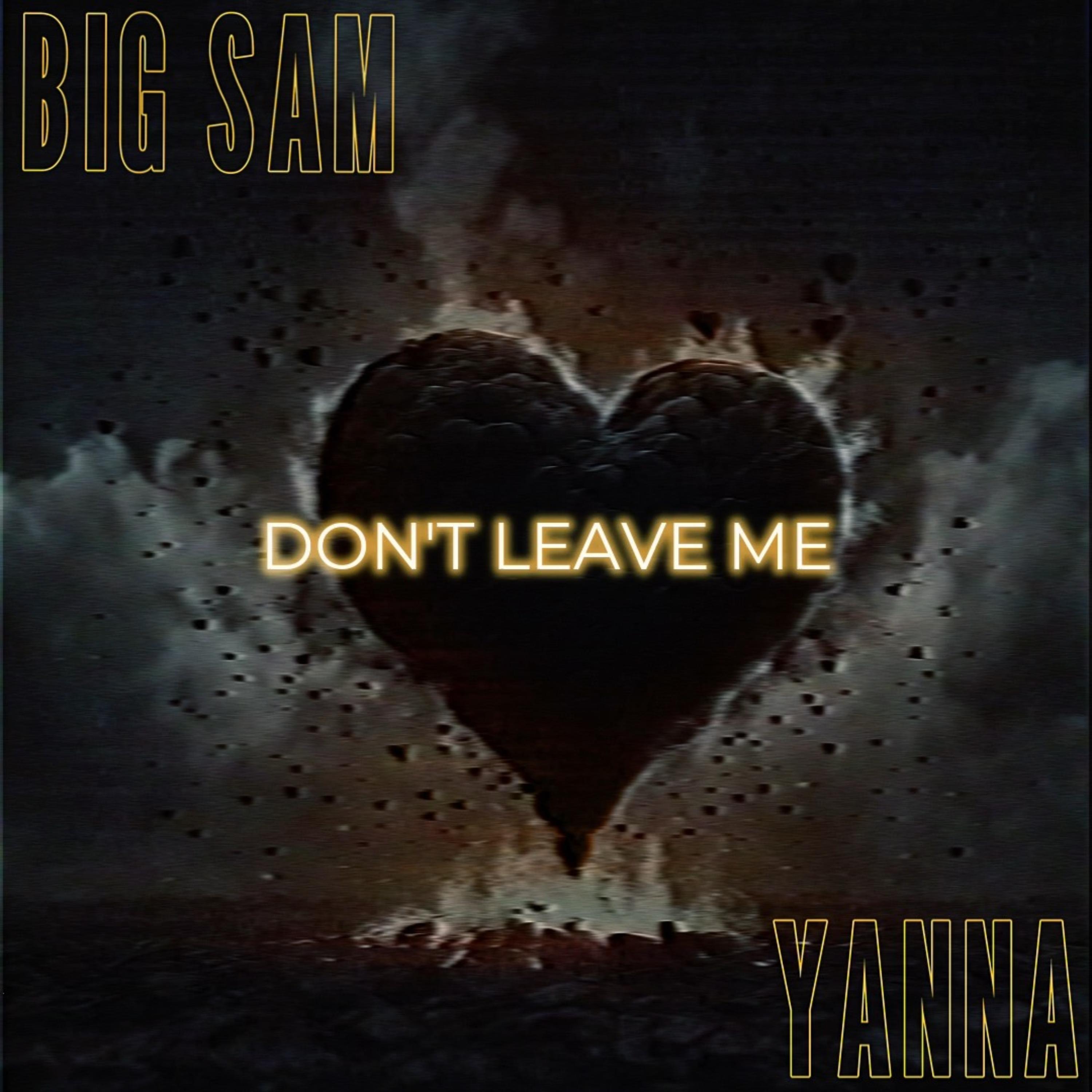 Don’t Leave Me artwork