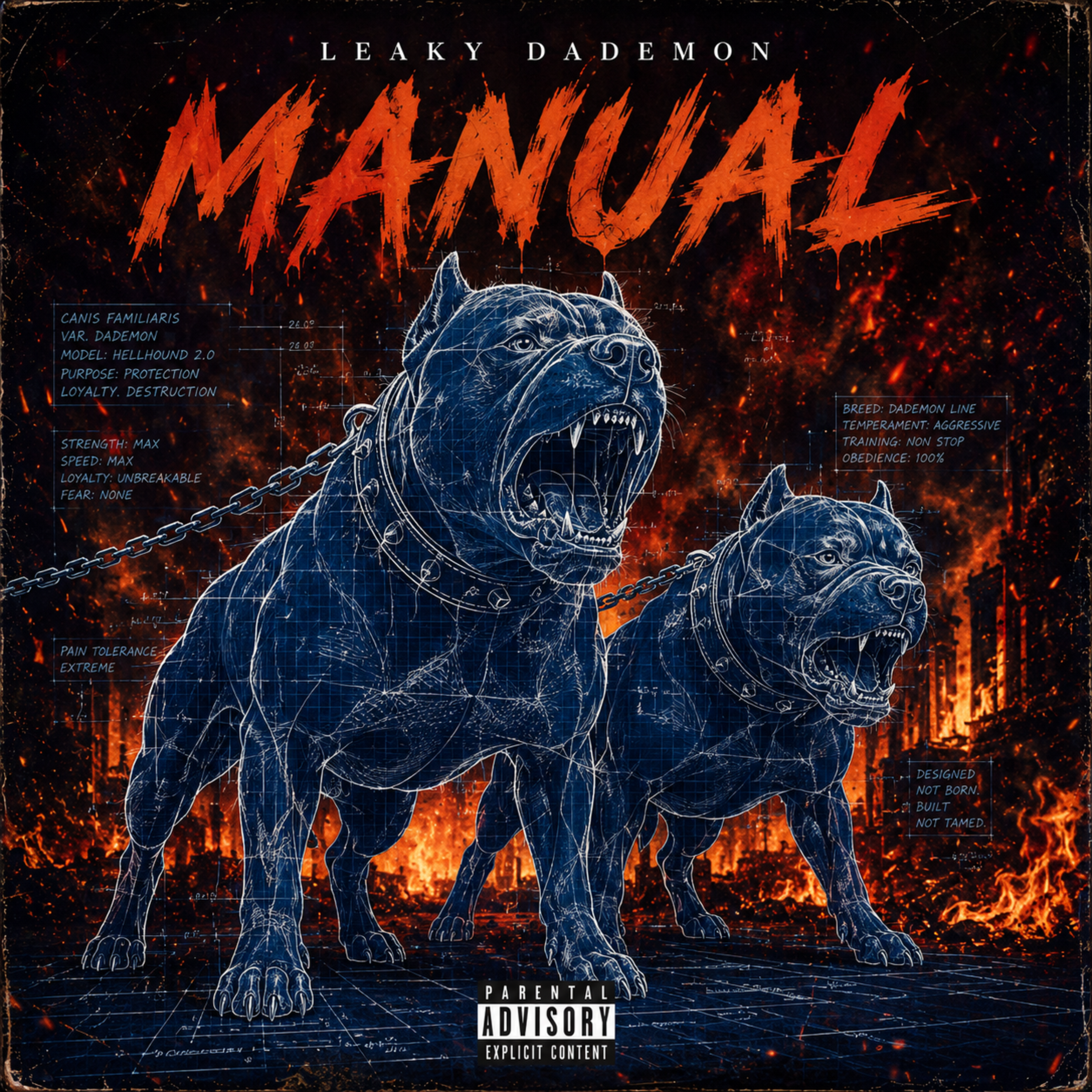 Manual by Leaky DaDemon cover art