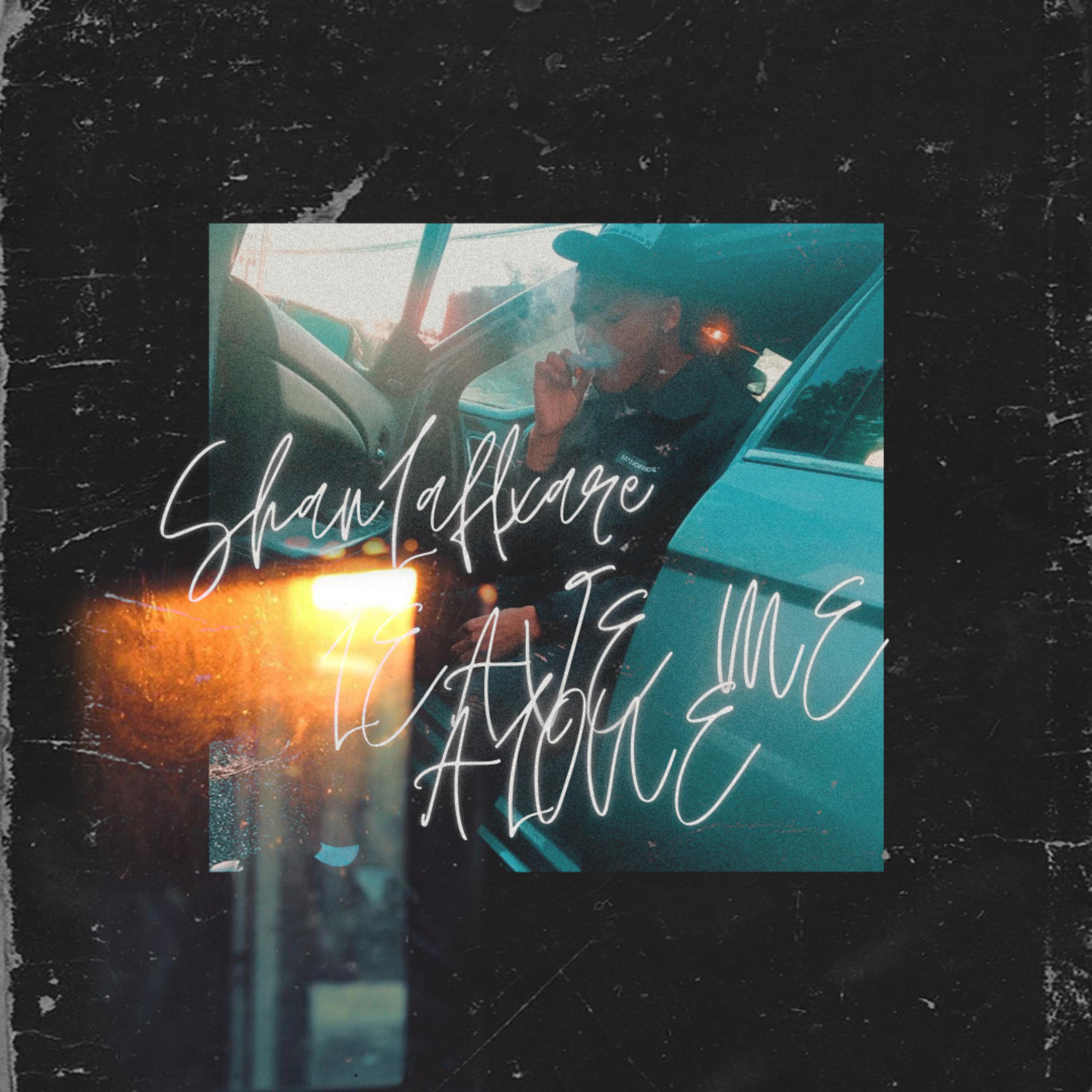 Leave Me Alone artwork