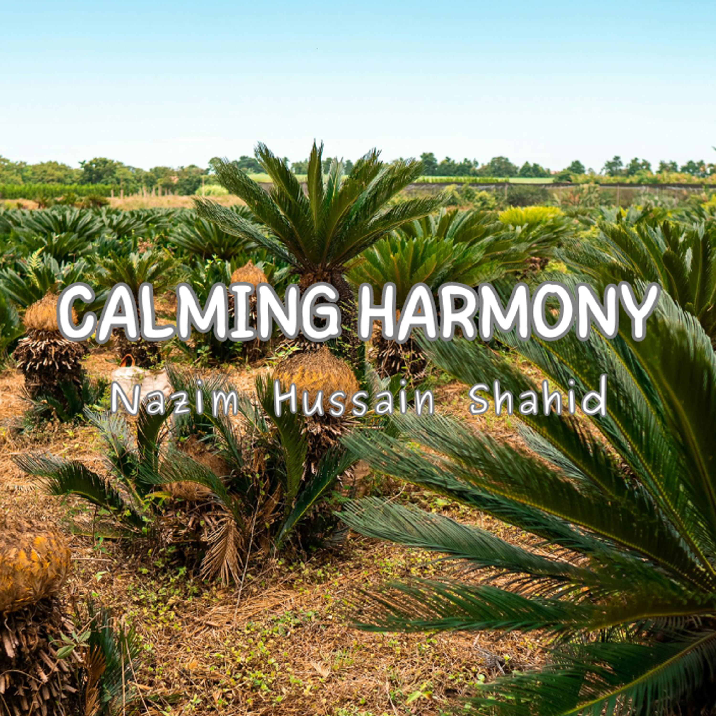 Calming Harmony artwork