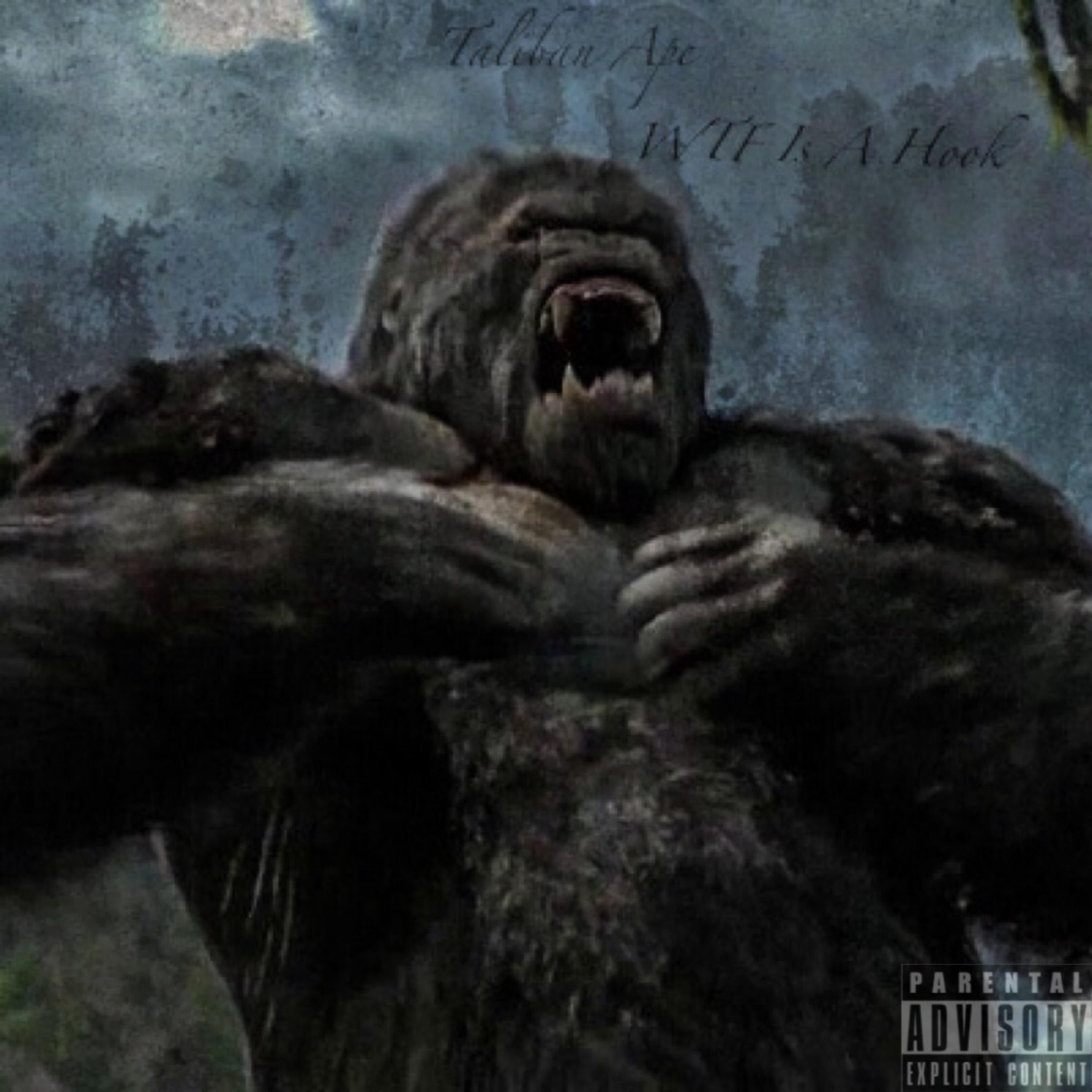 WTF Is A Hook by Kushnpolos cover art